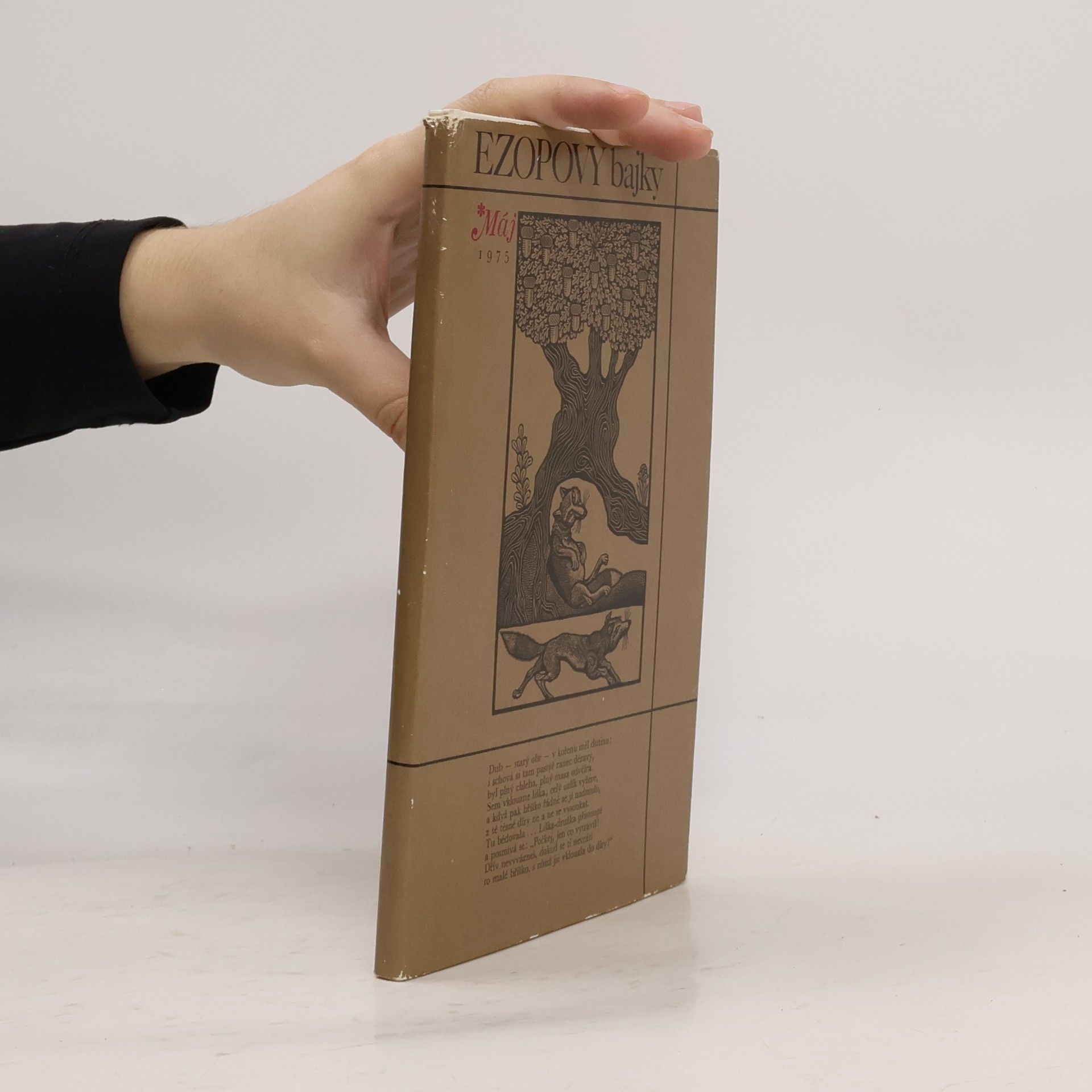 Kolektiv autorů Ezopovy bajky