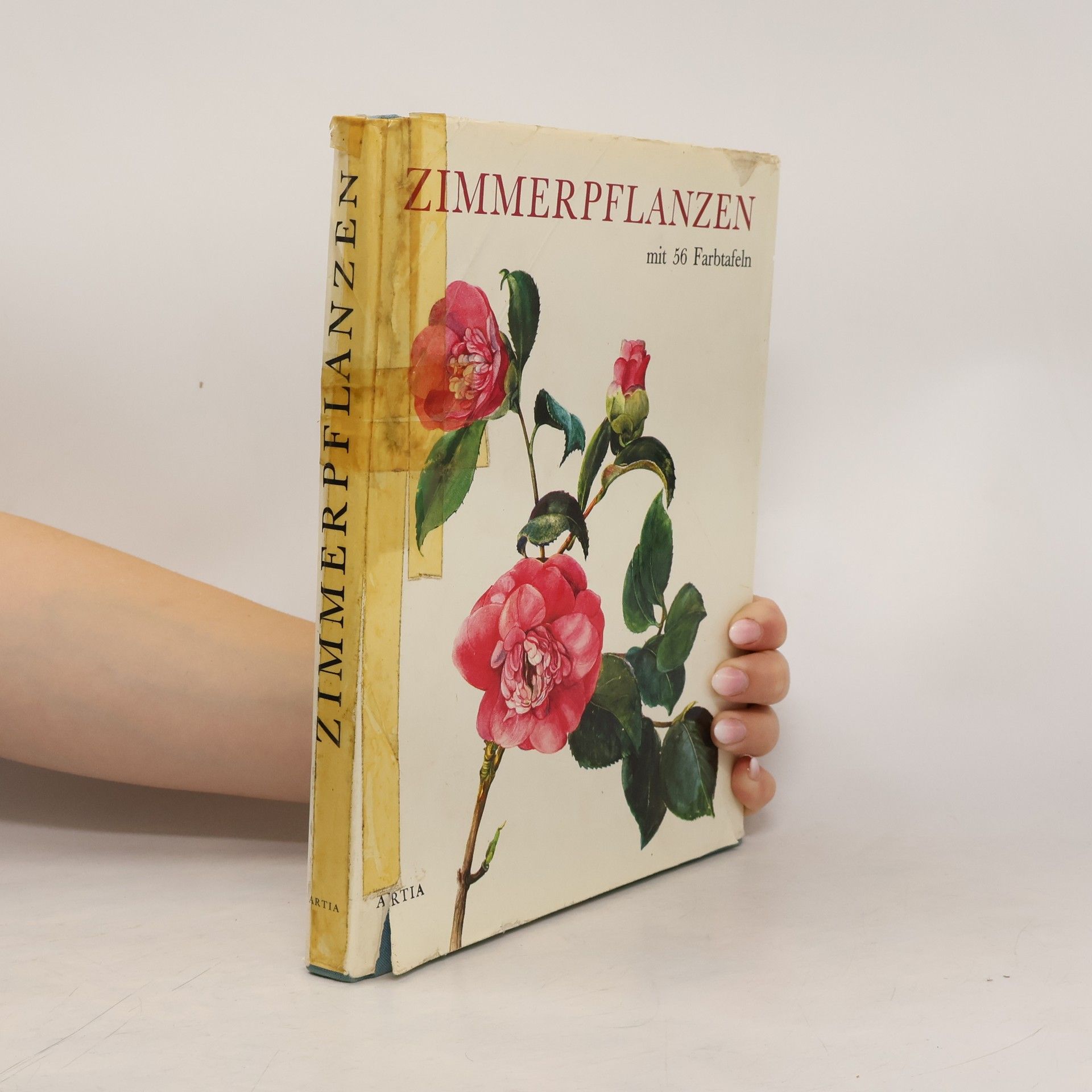 Autorenkollektiv Zimmerpflanzen mit 56 Farbtafeln