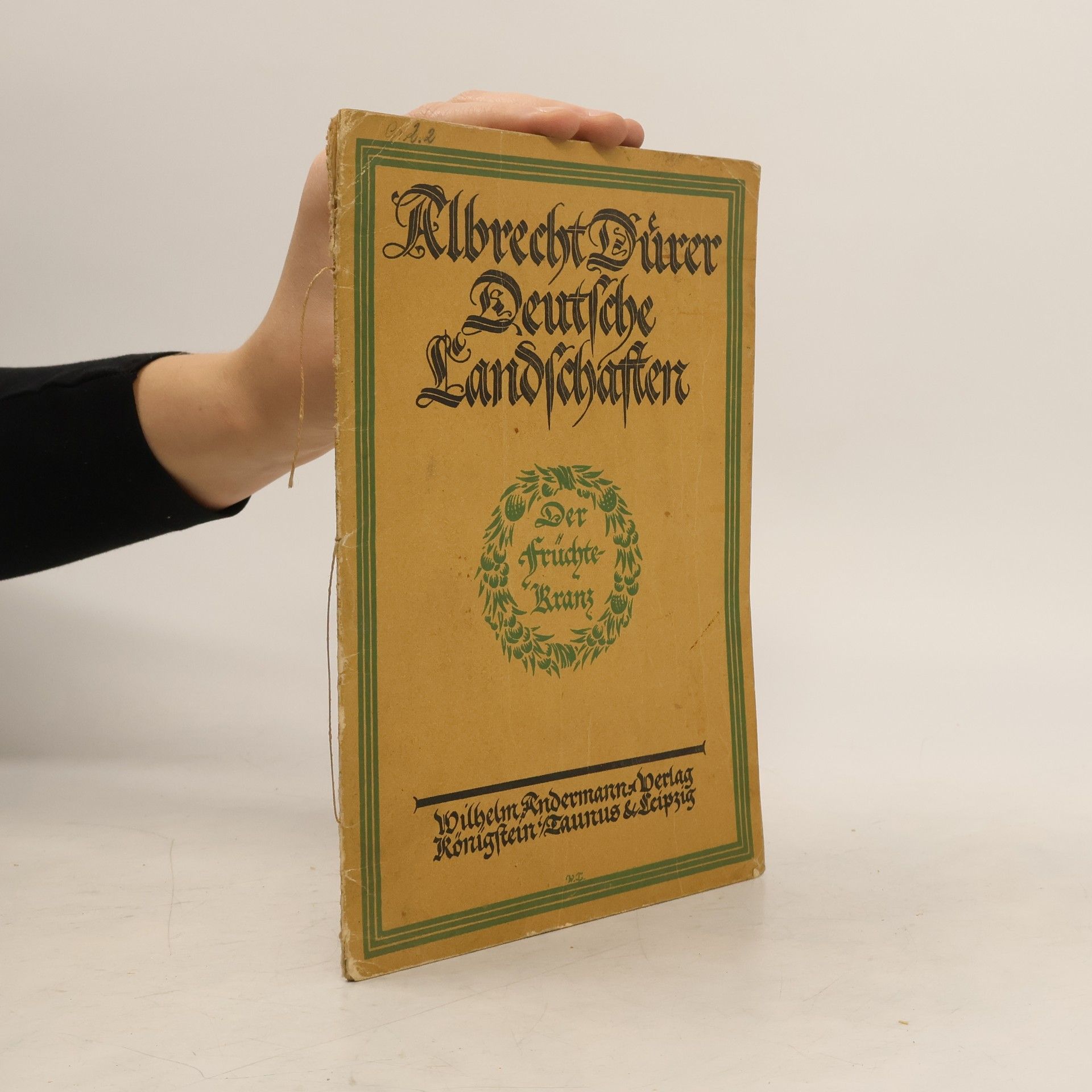 AA.VV. Albrecht Dürer. Deutsche Landschaften