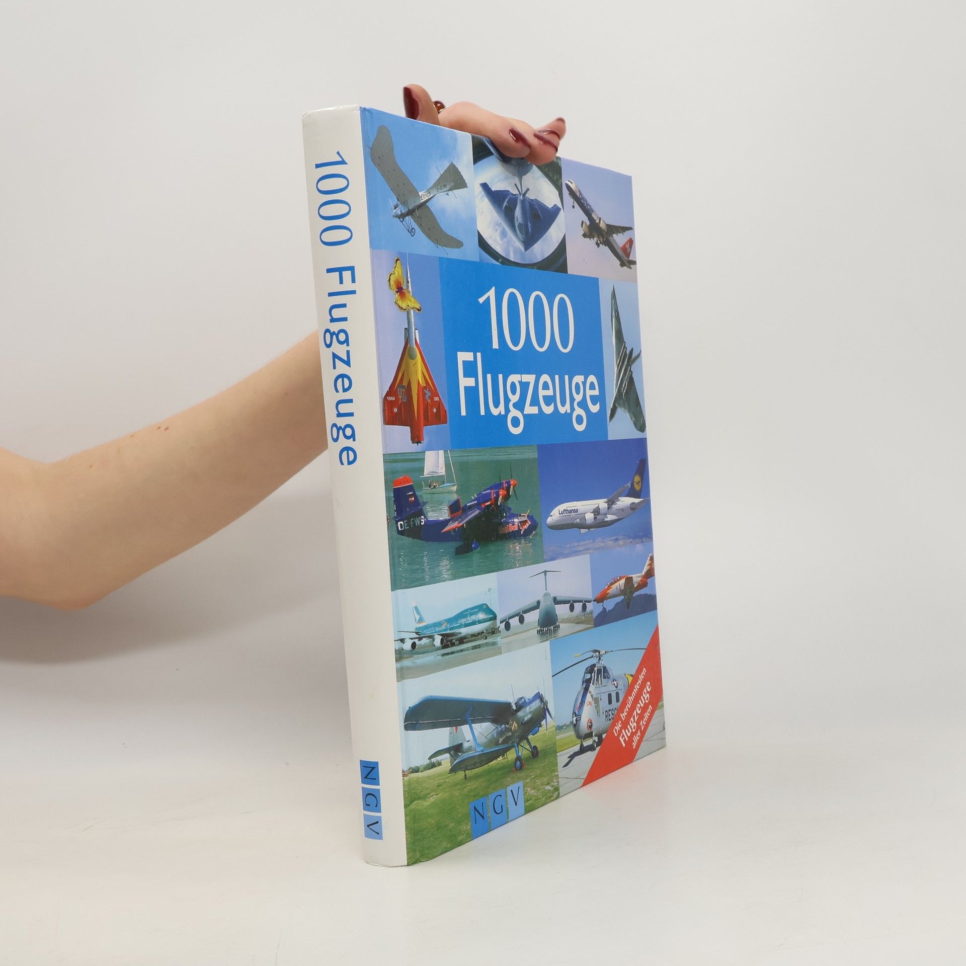 Rolf Berger 1000 Flugzeuge