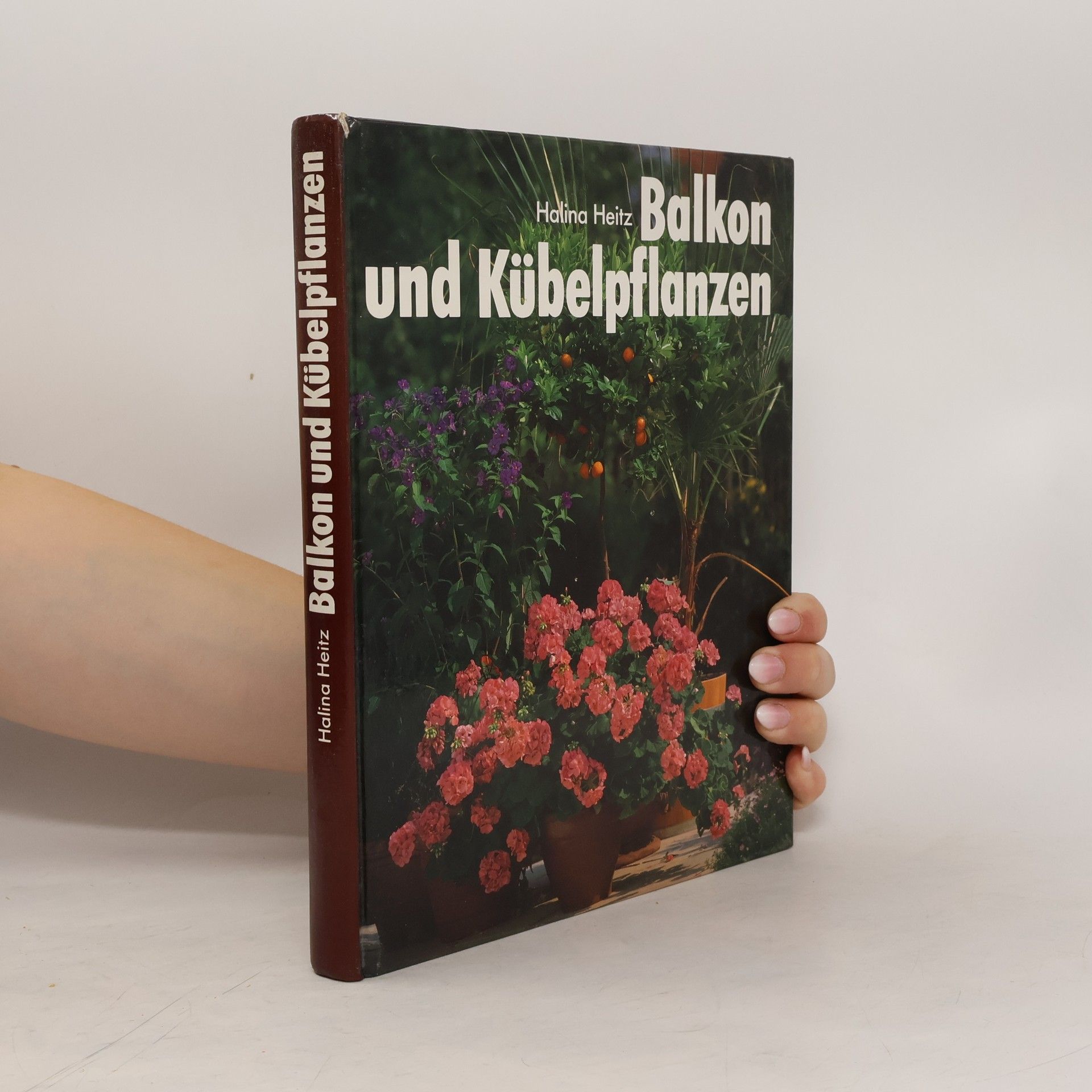 Balkon und Kübelpflanzen