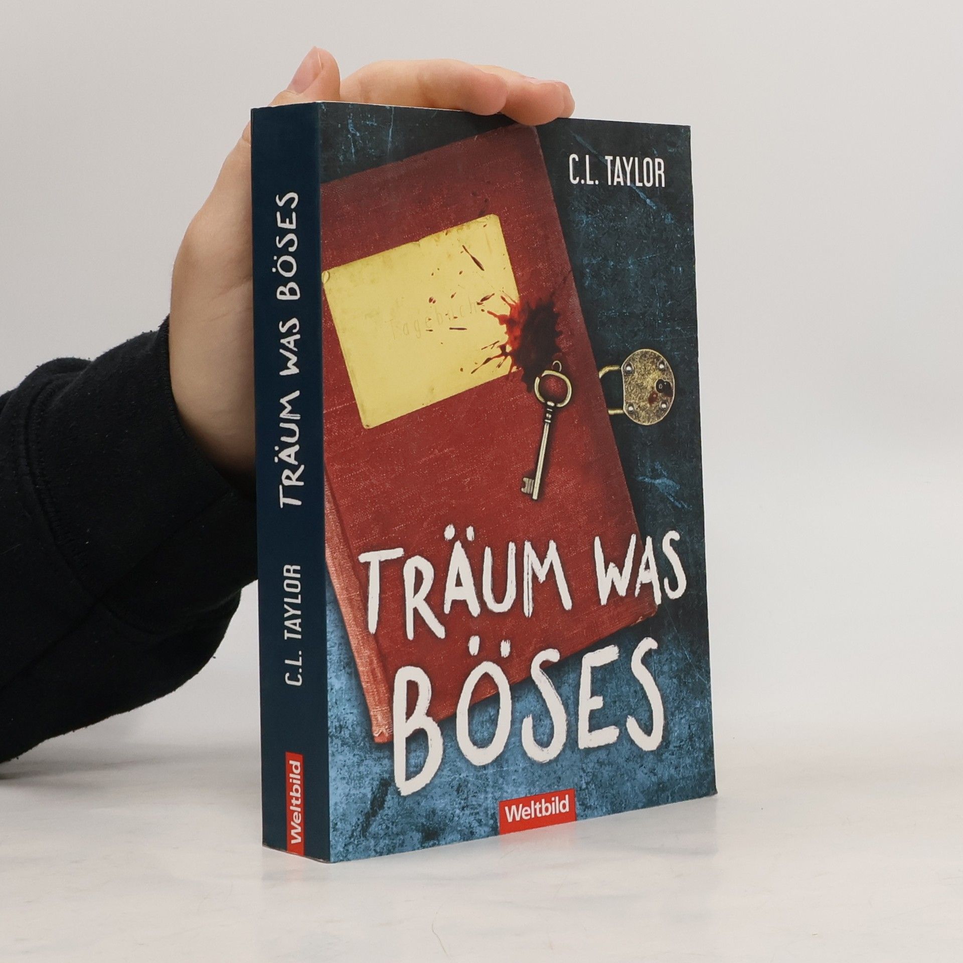 C.L. Taylor Träum was Böses