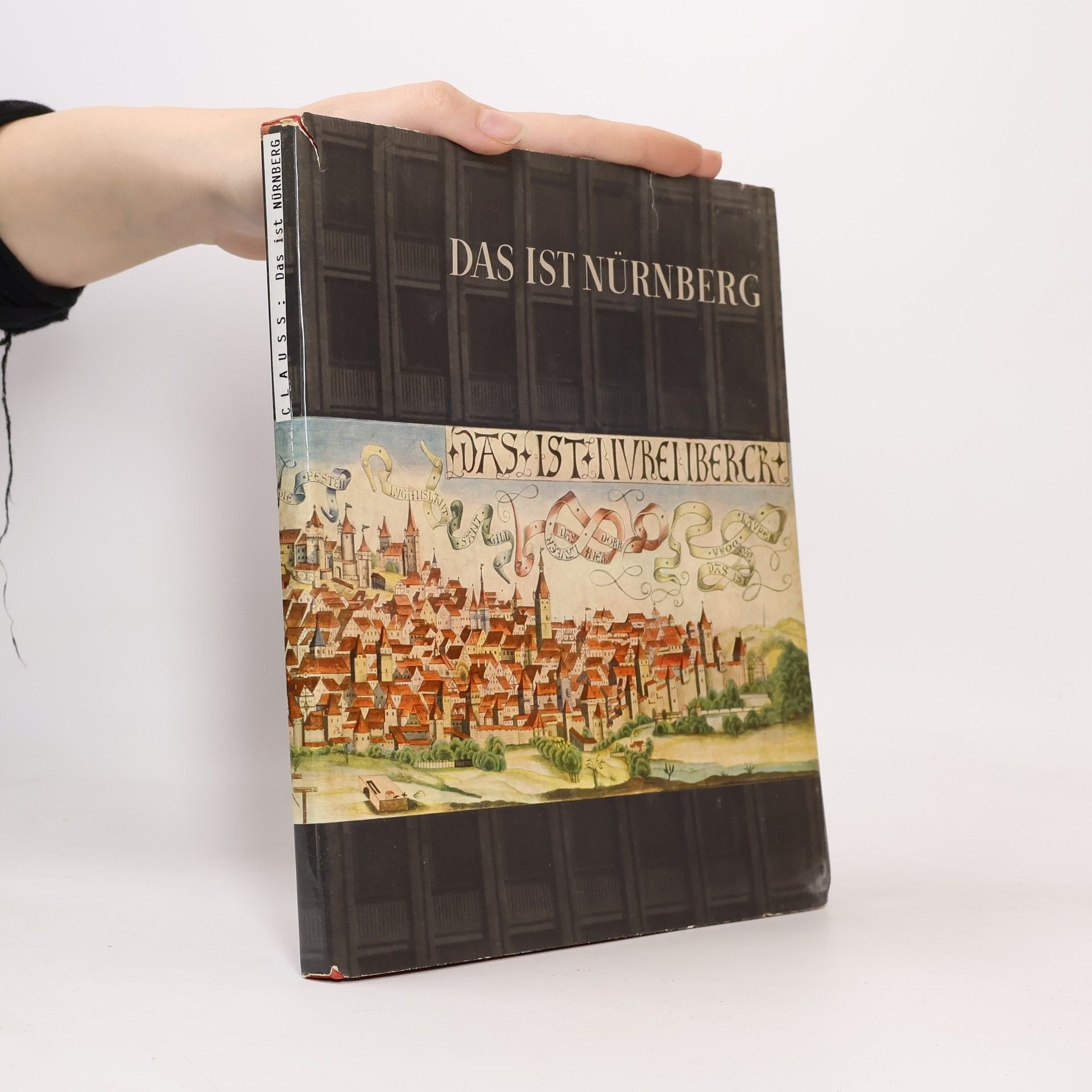 Collectif d'auteurs Das ist Nürnberg