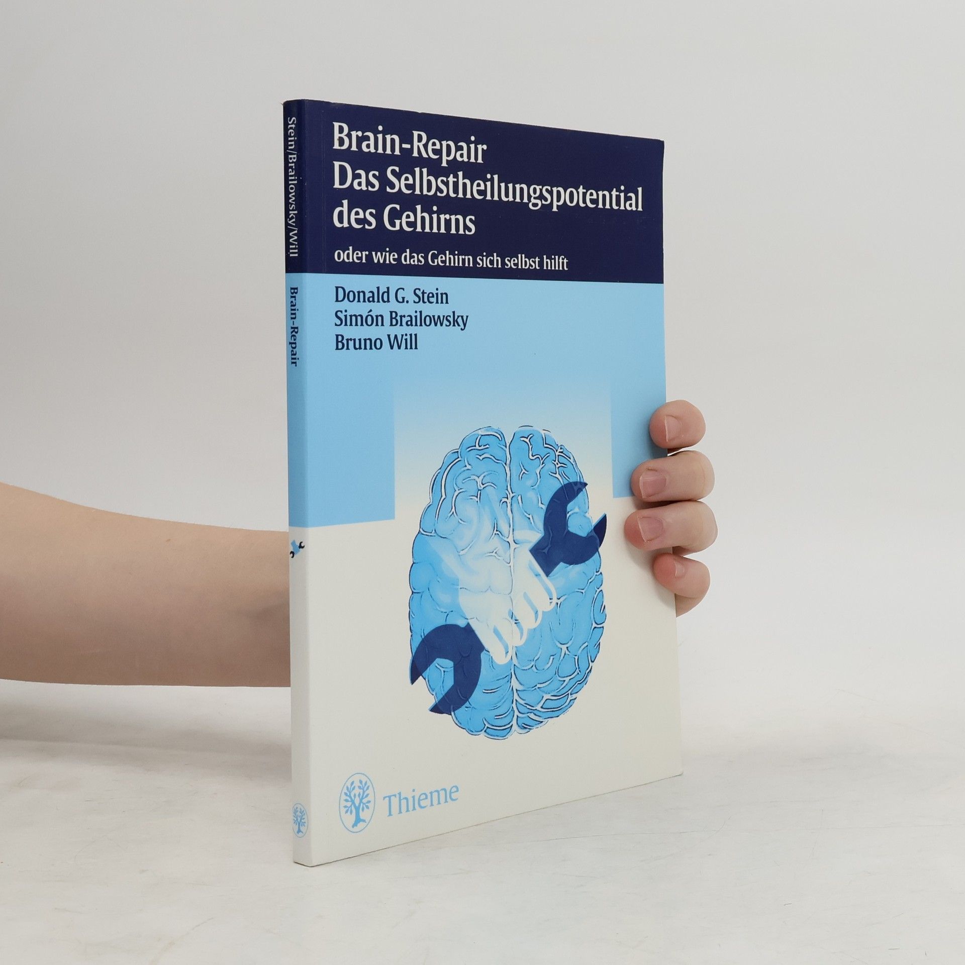 Donald G. Stein Brain repair