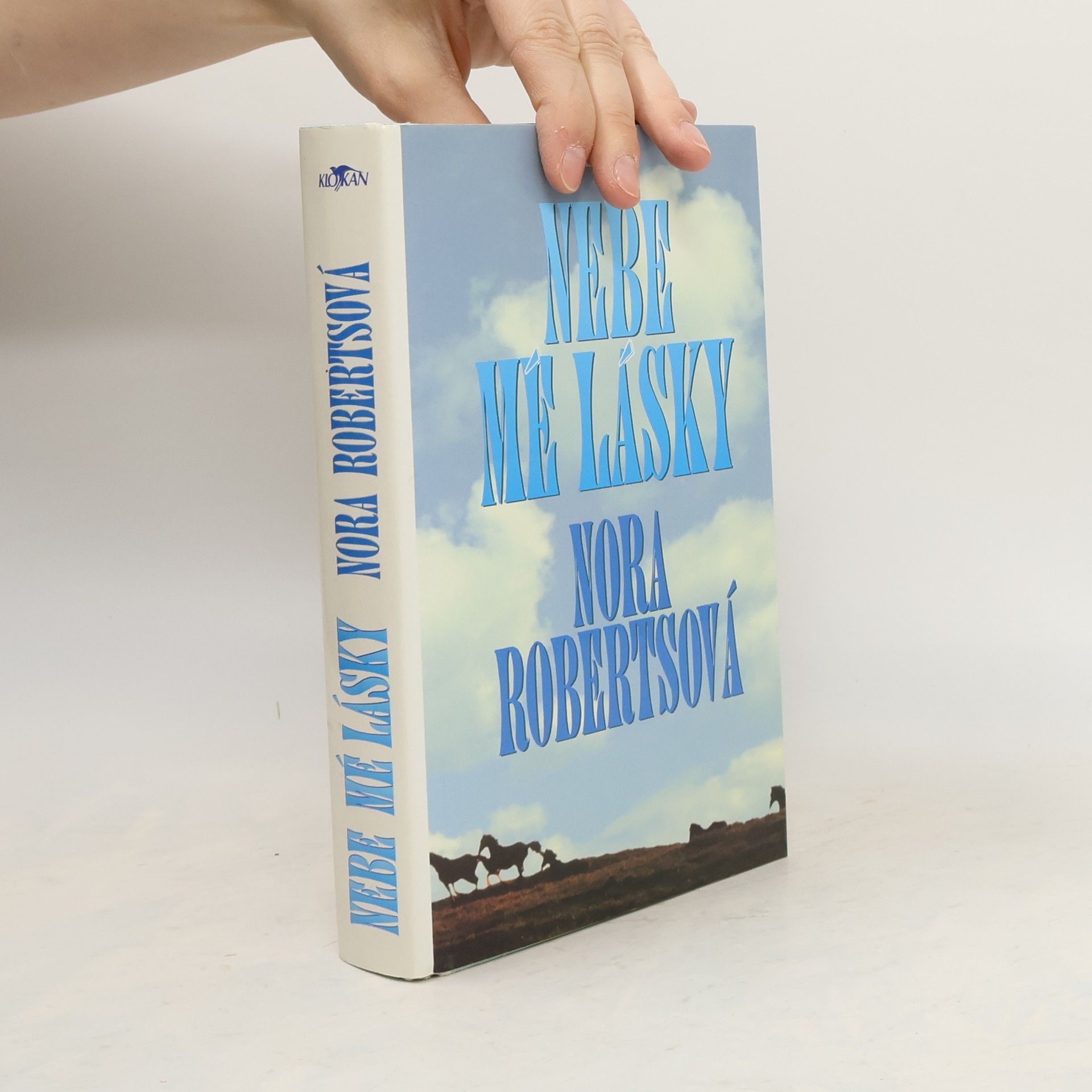 Nora Roberts Nebe mé lásky