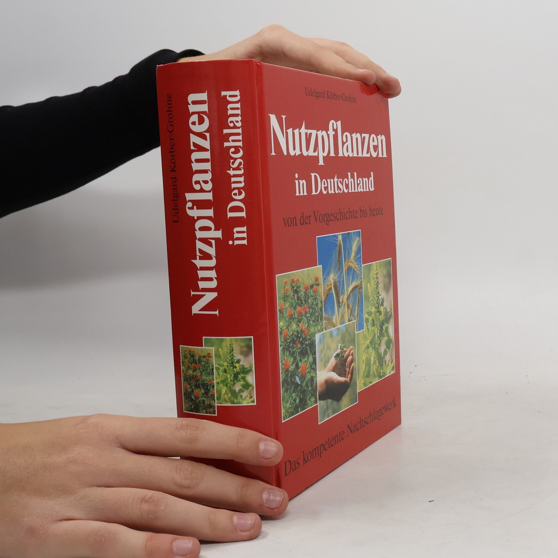 Udelgard Körber-Grohne Nutzpflanzen in Deutschland
