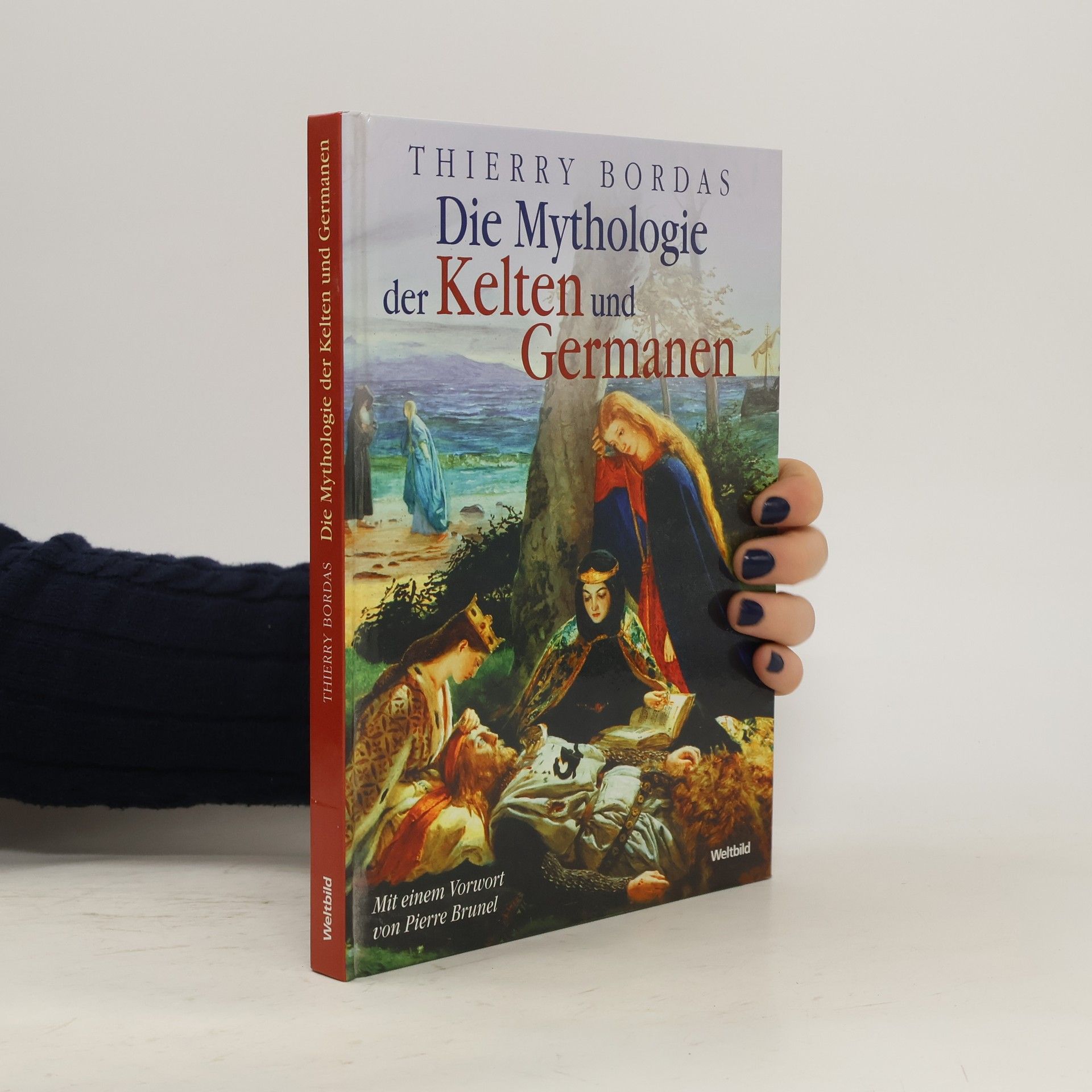 Thierry Bordas Die Mythologie Der Kelten und Germanen