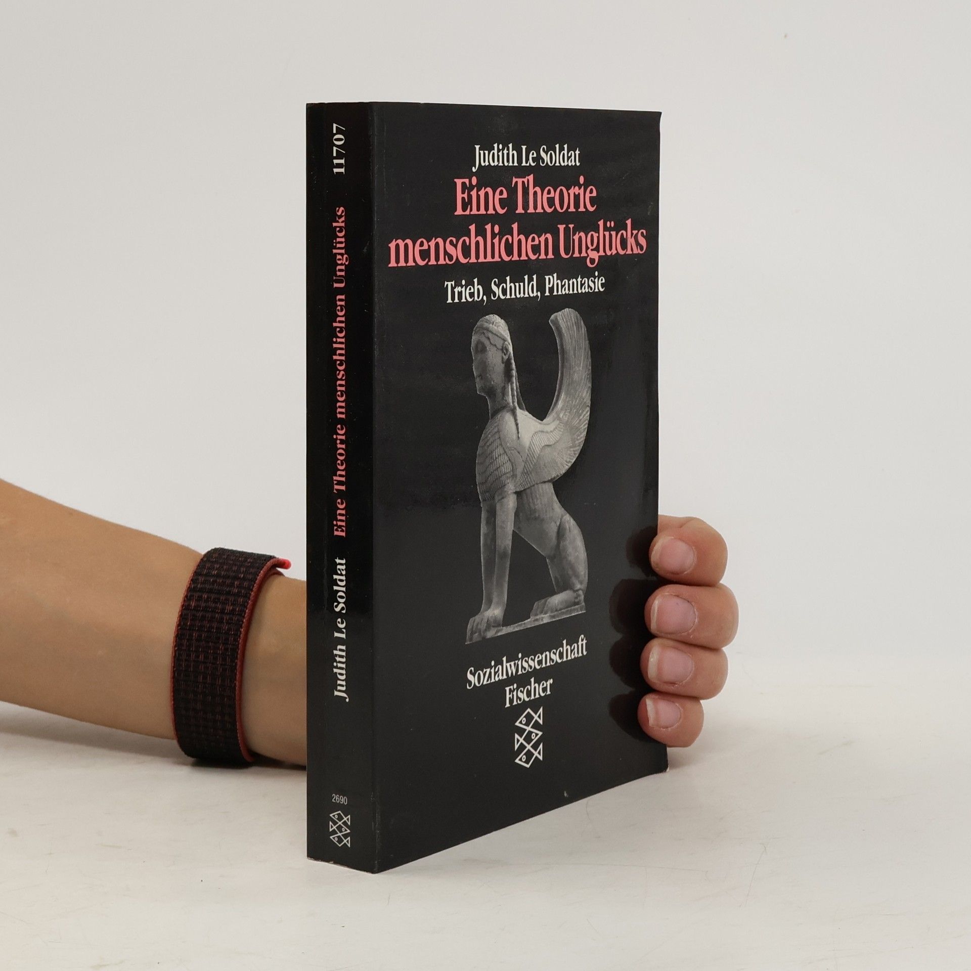 Eine Theorie des menschlichen Unglücks