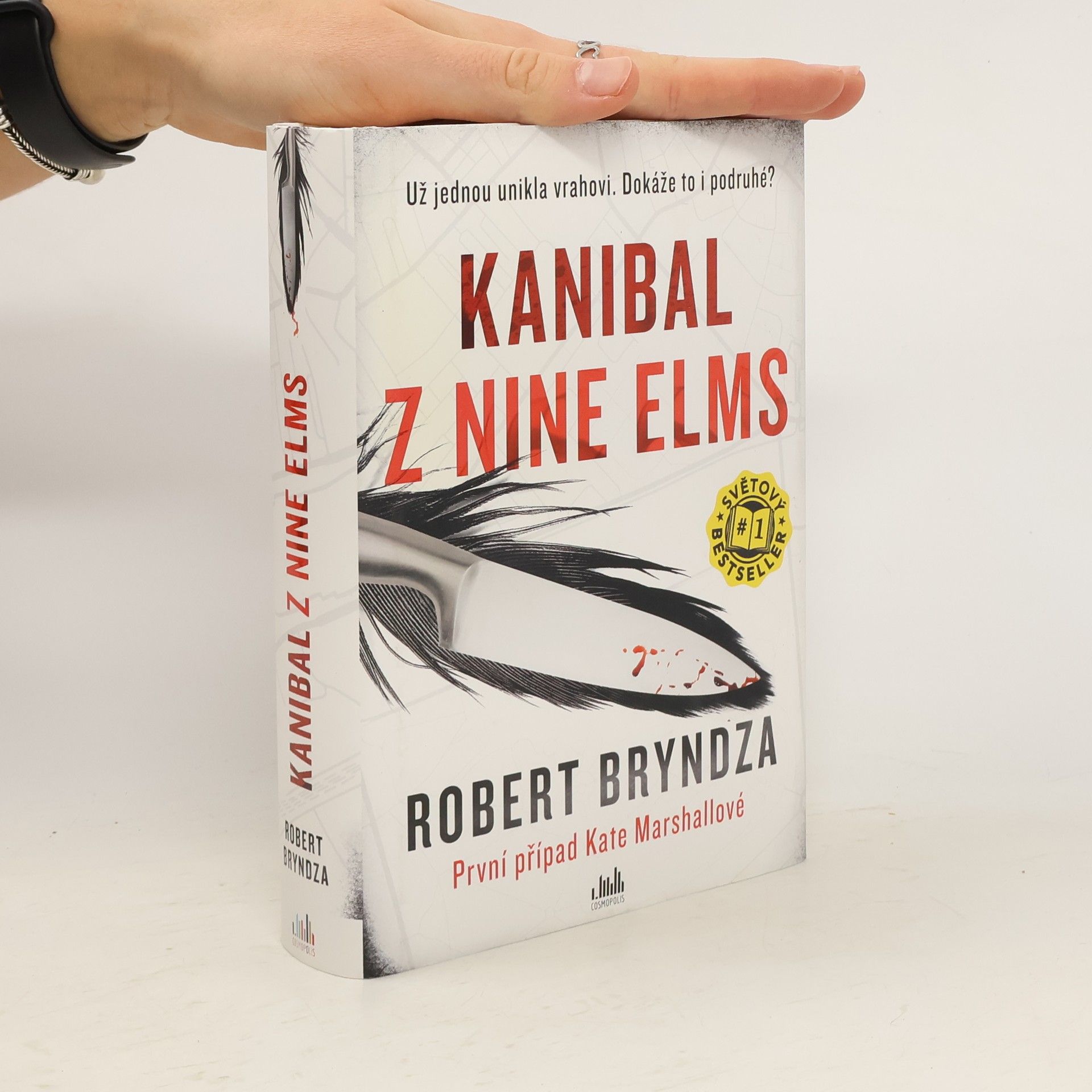 Robert Bryndza Kanibal z Nine Elms