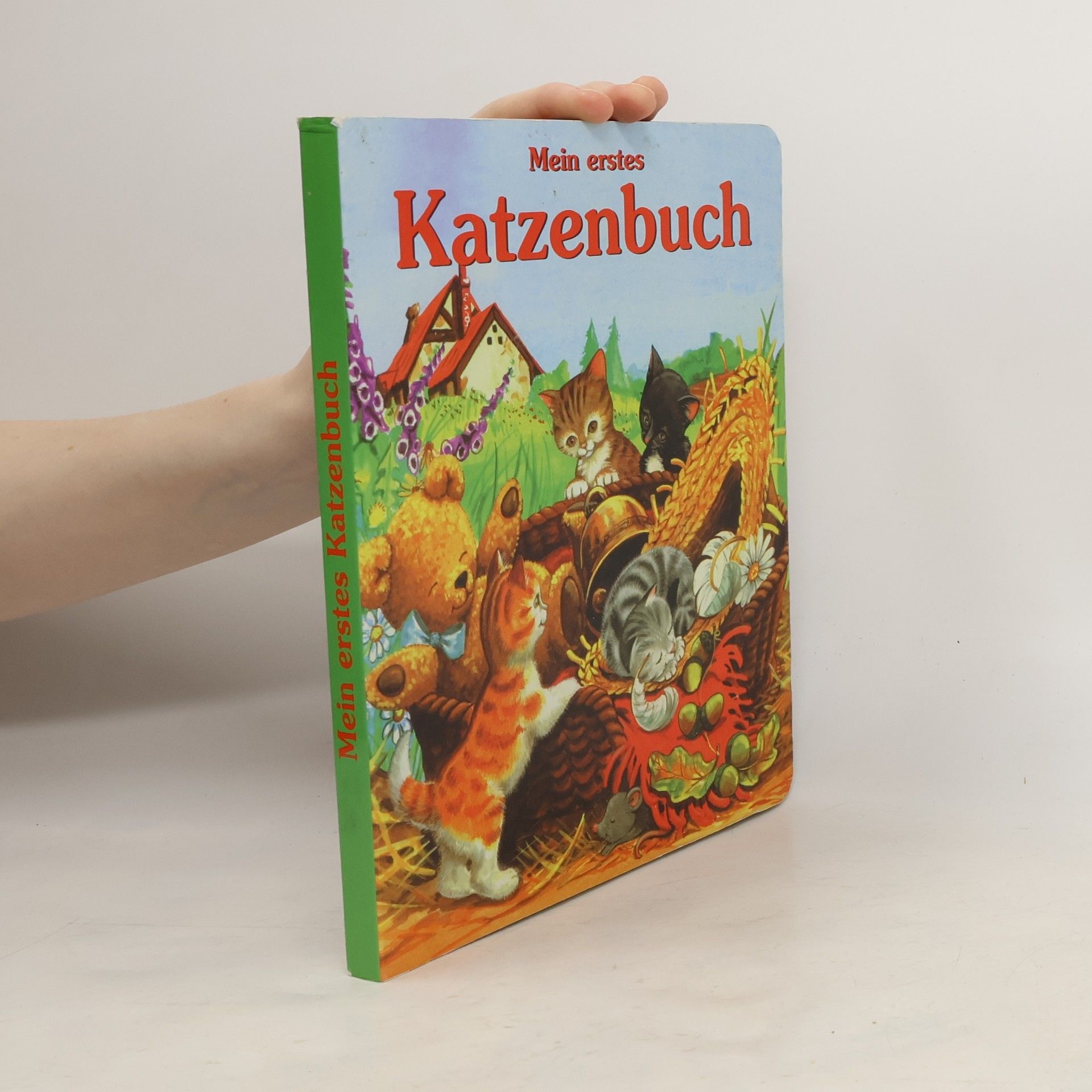 Autorenkollektiv Mein erstes Katzenbuch