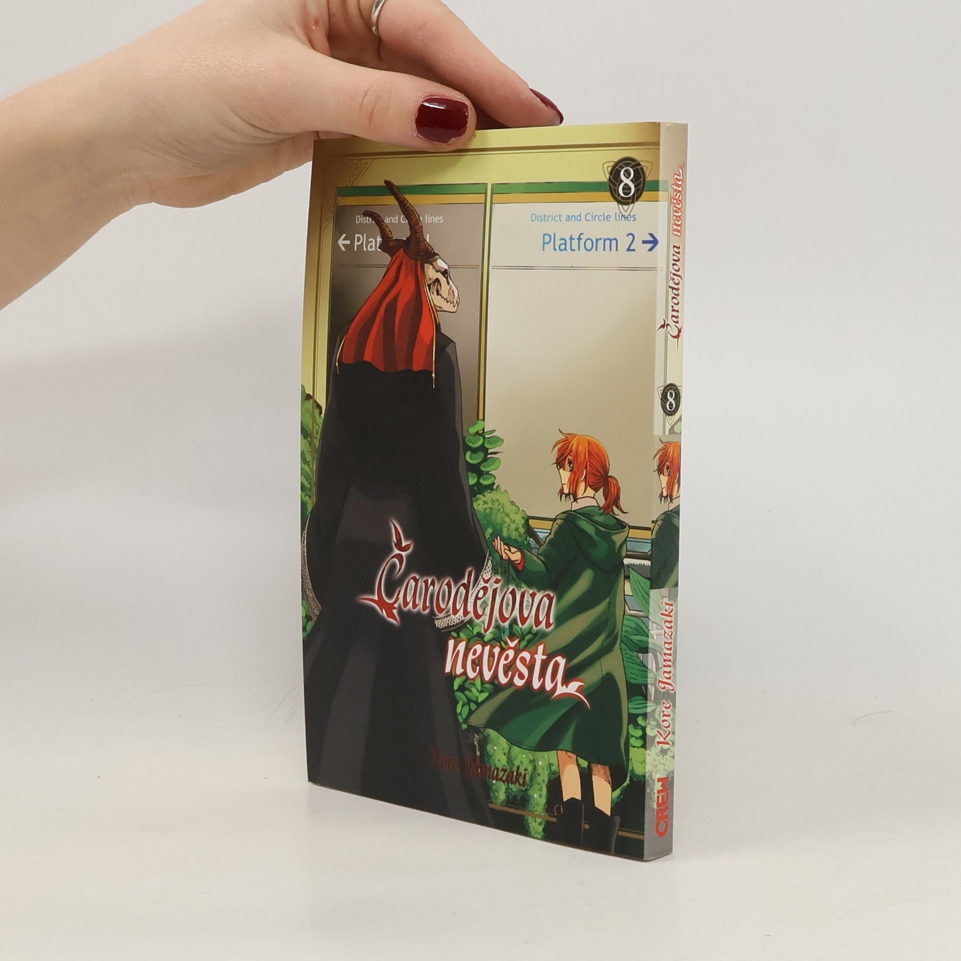 Kore Jamazaki Čarodějova nevěsta 8
