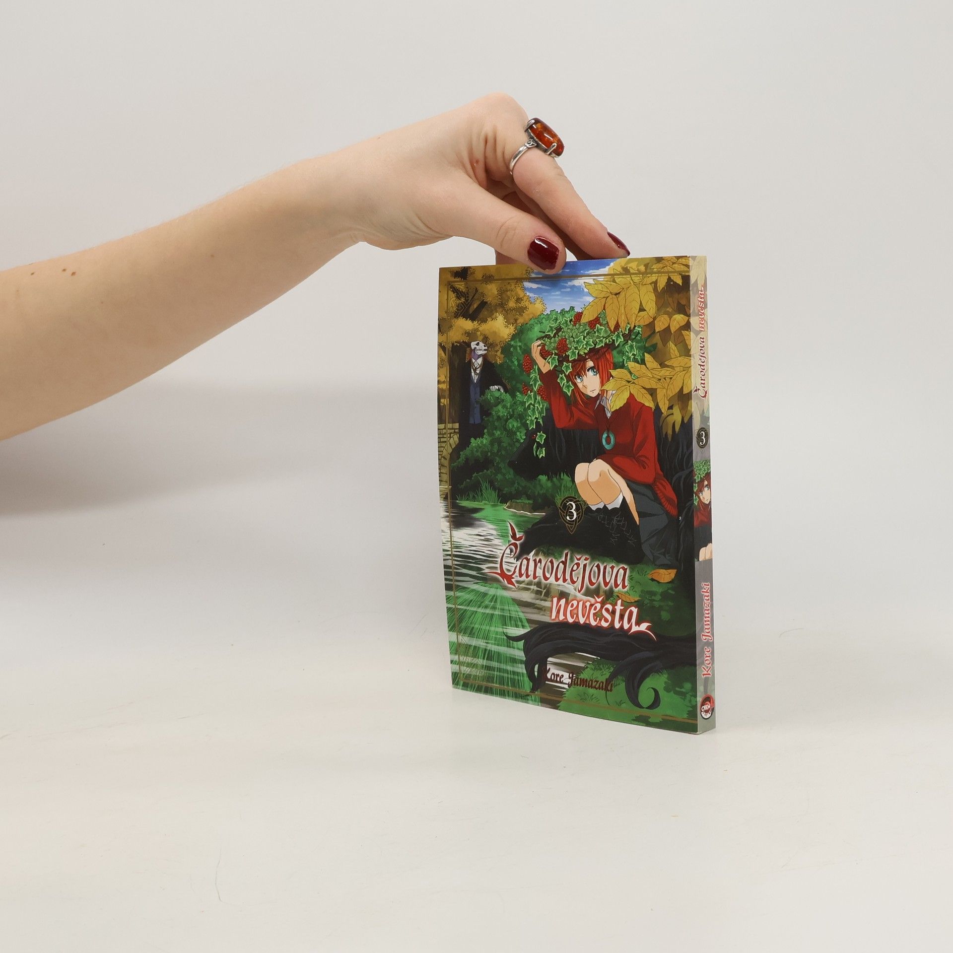 Kore Jamazaki Čarodějova nevěsta 3
