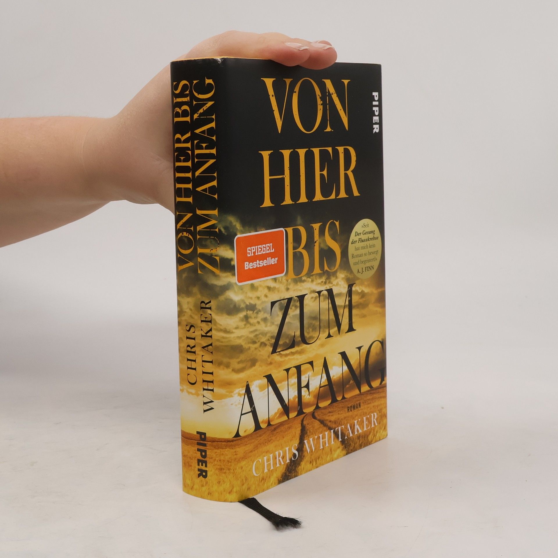 Chris Whitaker Von hier bis zum anfang