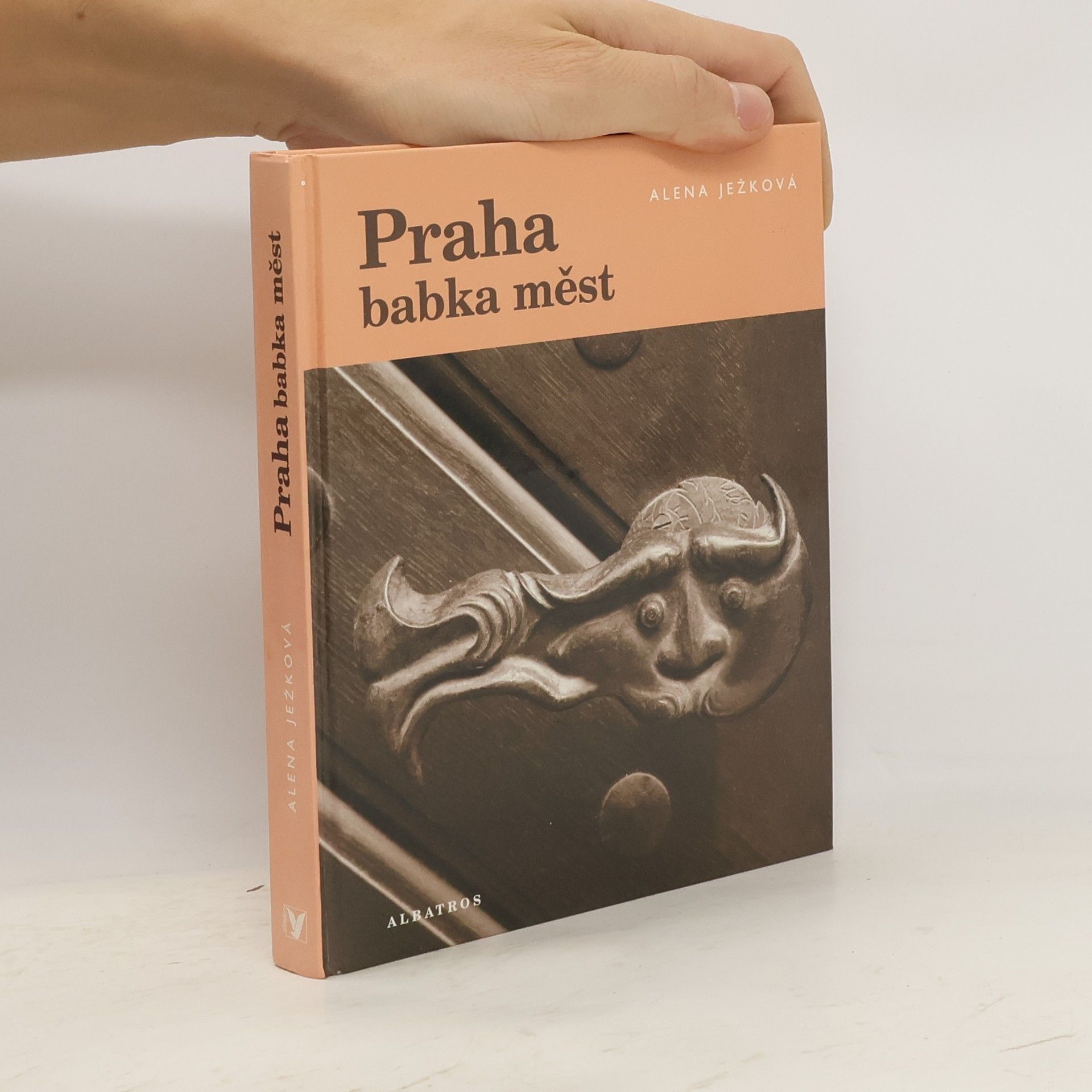 Alena Ježková Praha babka měst