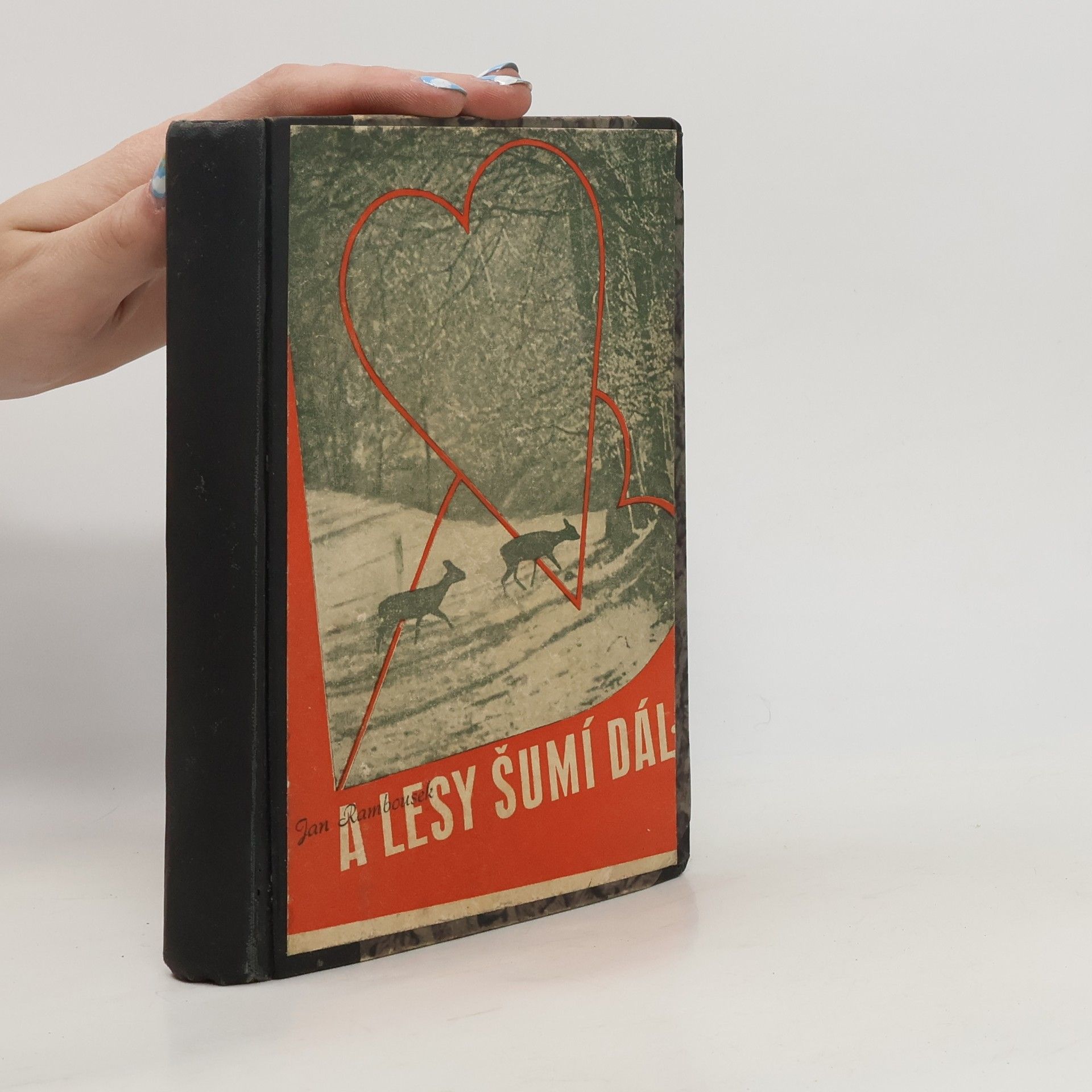 Jan Rambousek A lesy šumí dál ...