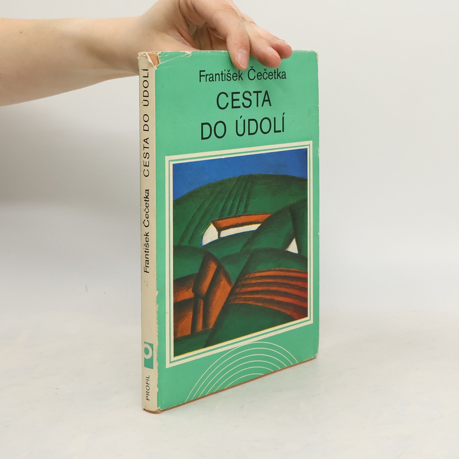 František Čečetka Cesta do údolí