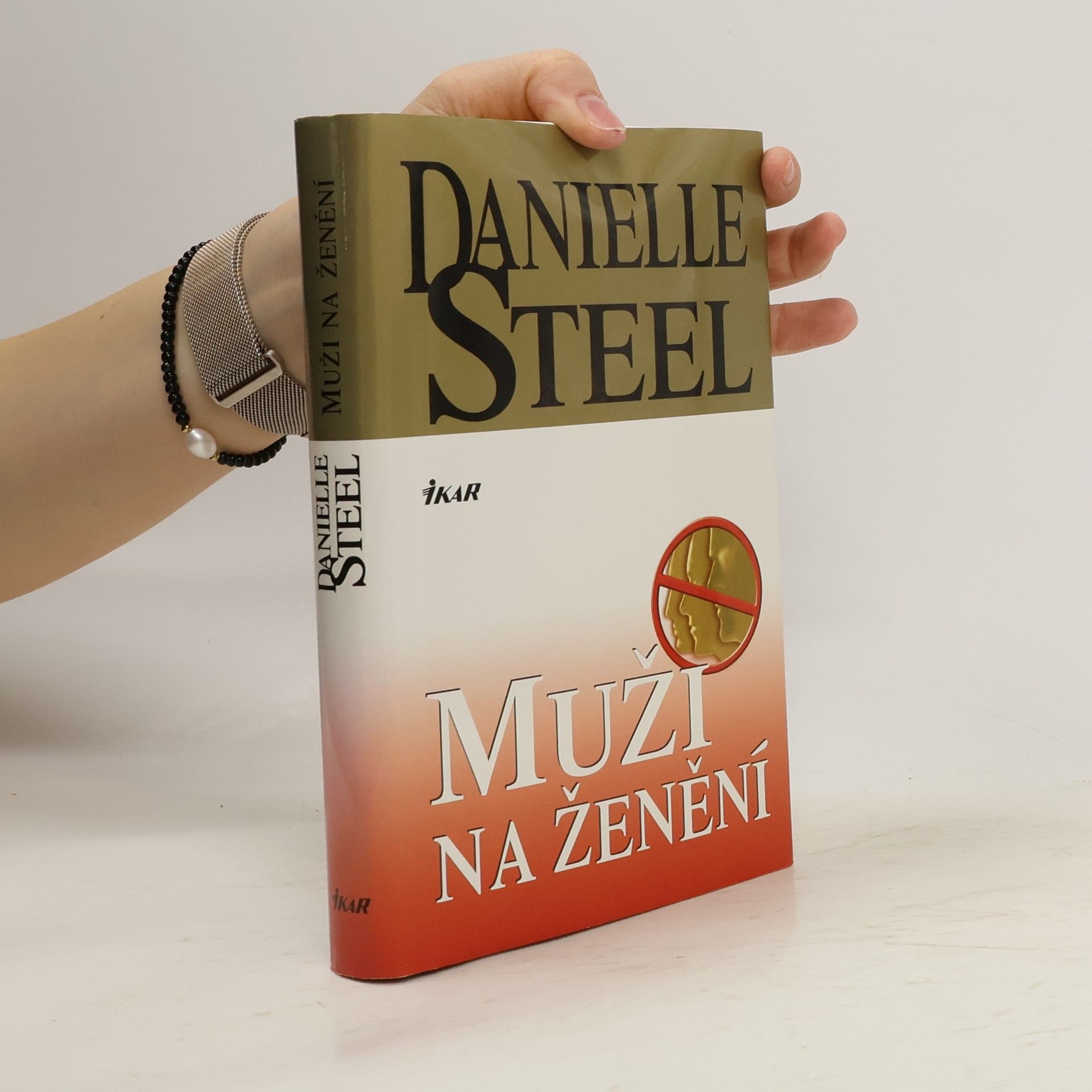 Danielle Steel Muži na ženění