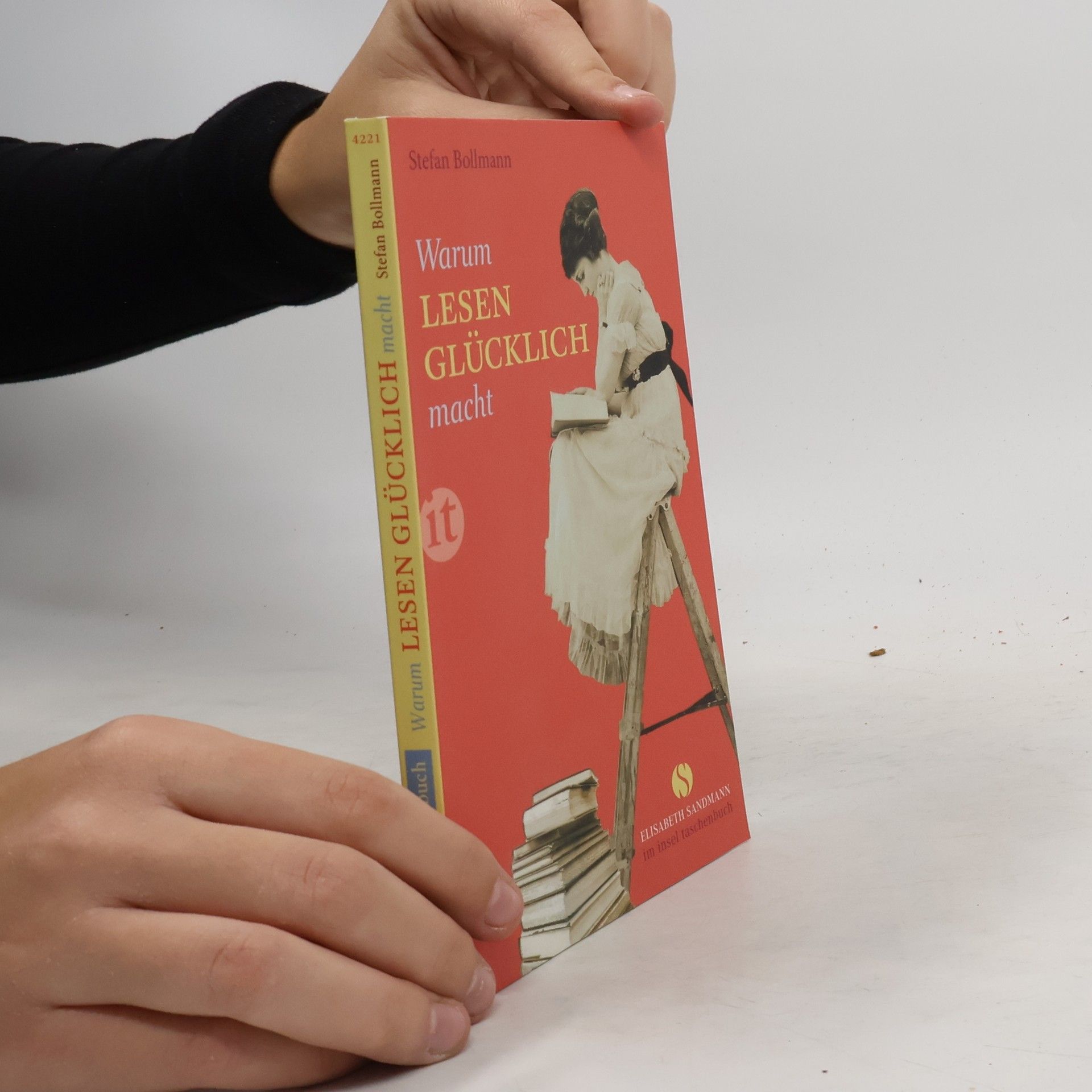 Stefan Bollmann Warum Lesen glücklich macht