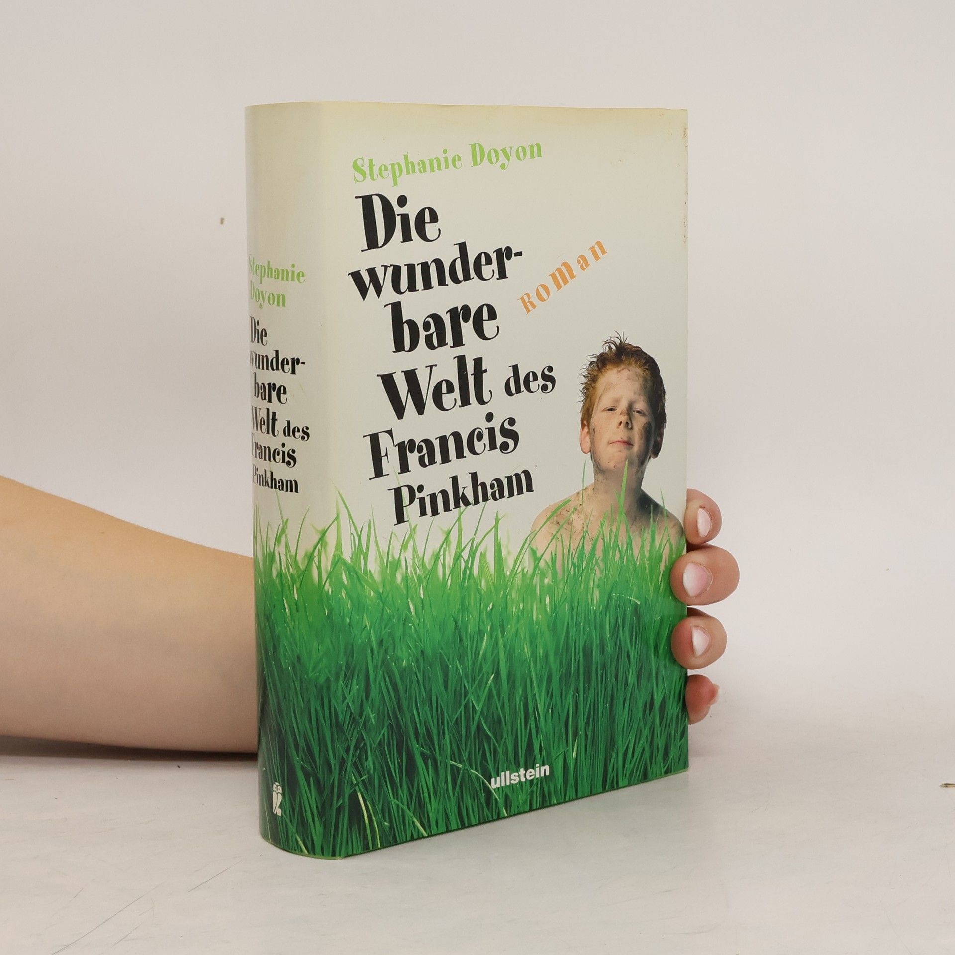 Stephanie Doyon Die wunderbare Welt des Francis Pinkham