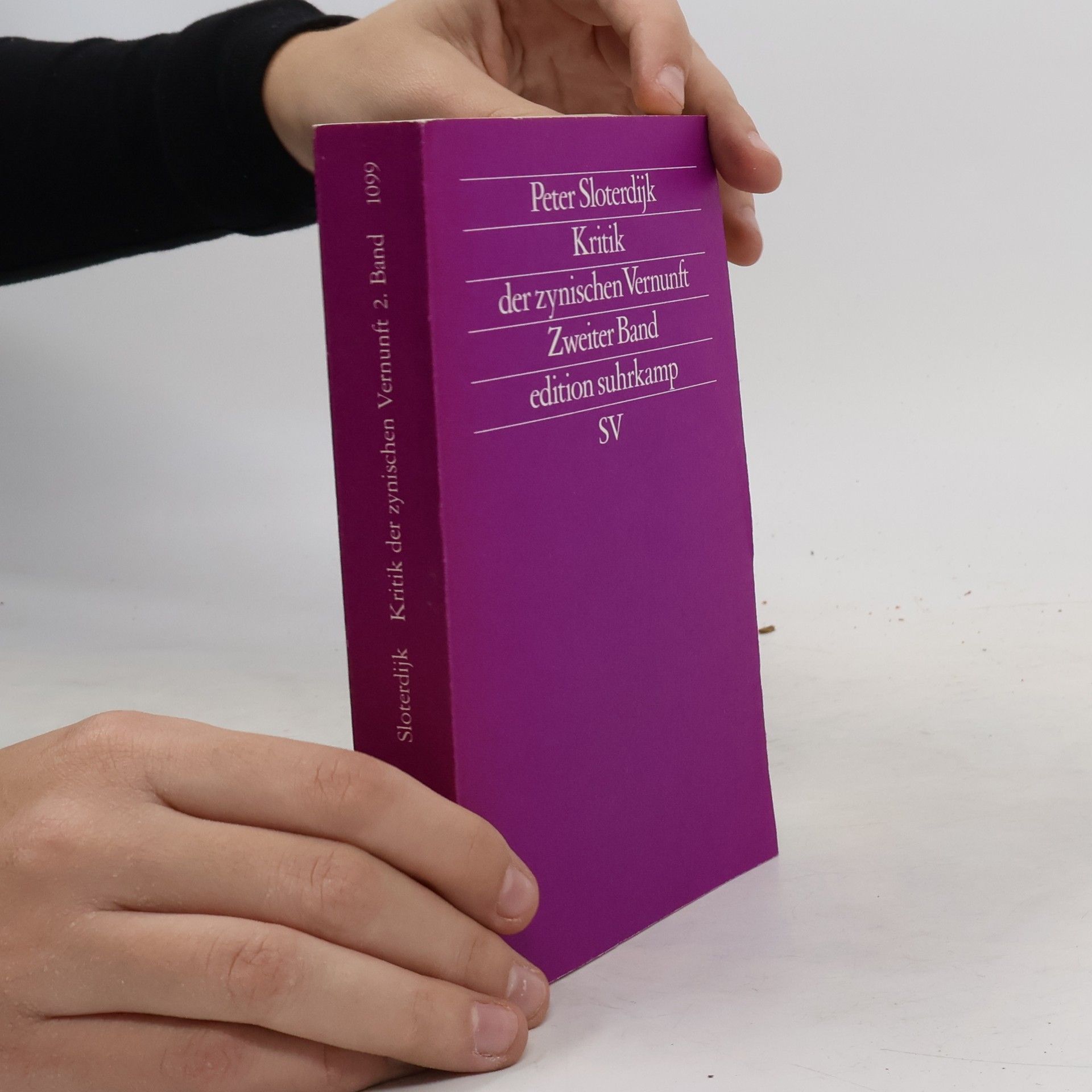 Peter Sloterdijk Kritik der zynischen Vernunft 2