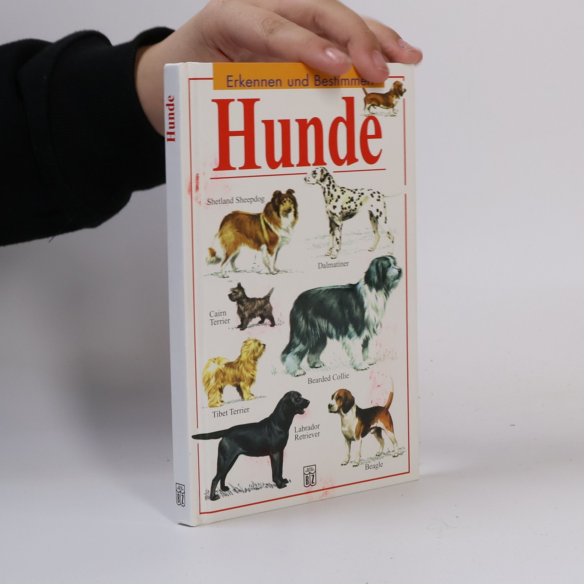 Autores varios Hunde