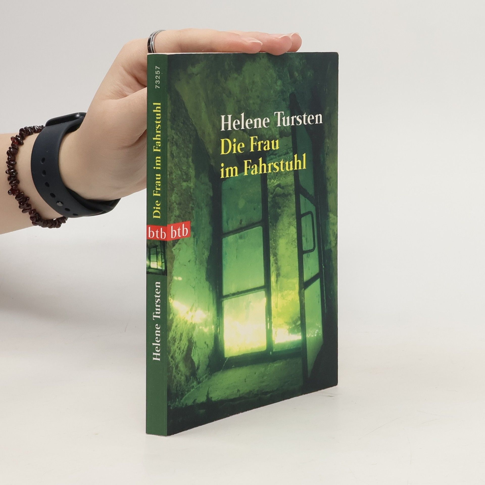 Helene Tursten Die Frau im Fahrstuhl