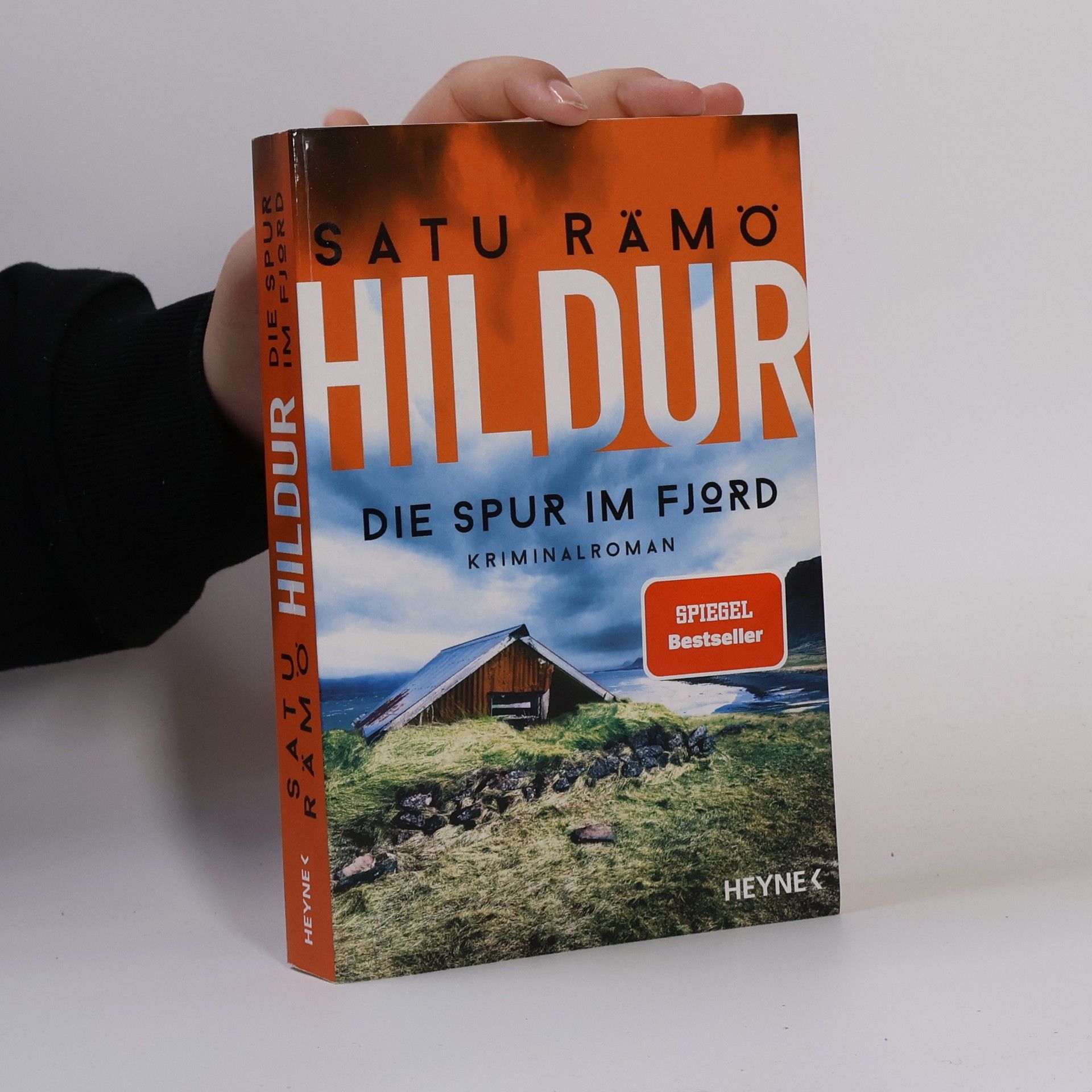 Satu Rämö Hildur. Die Spur im Fjord