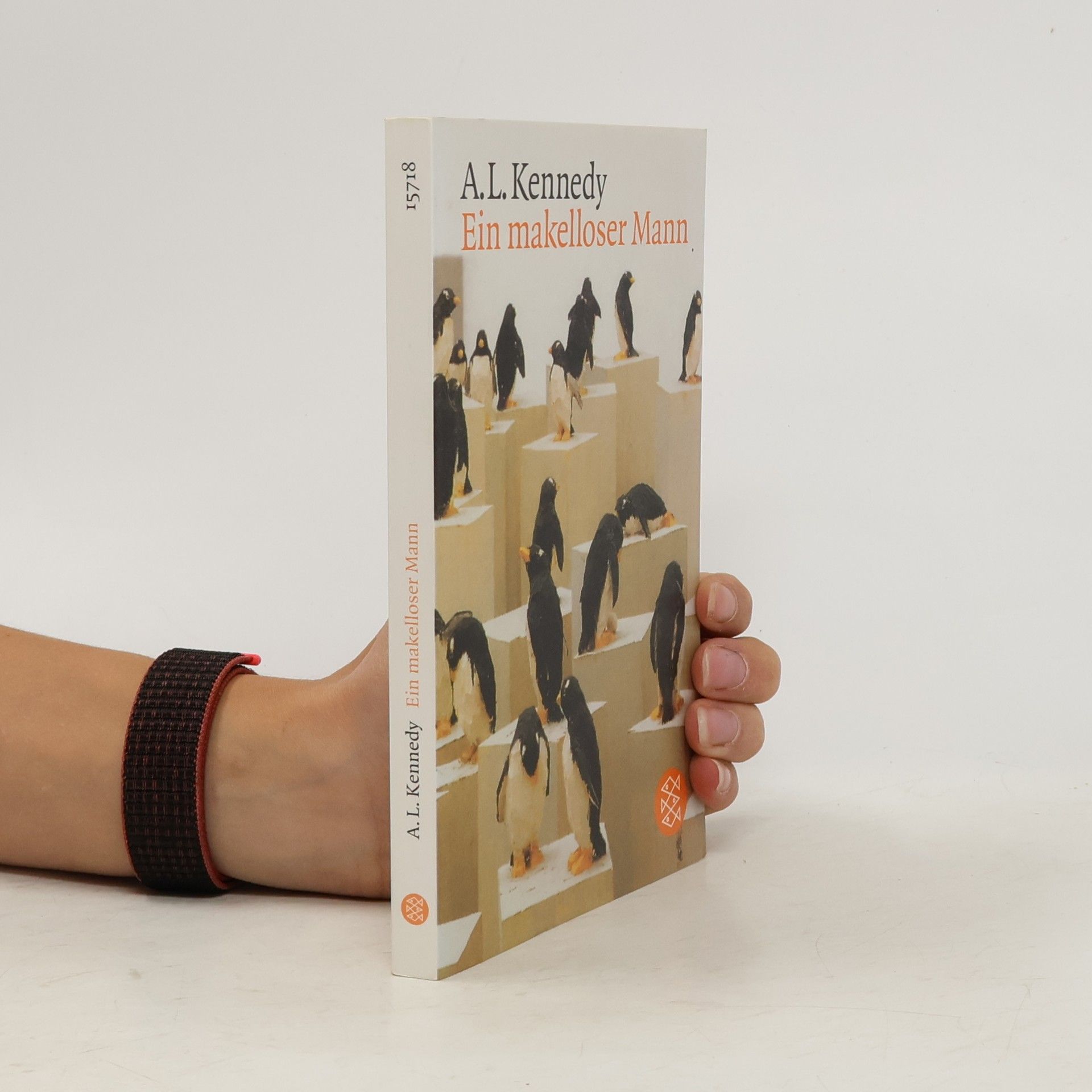 A. L. Kennedy Ein makelloser Mann. Erzählungen