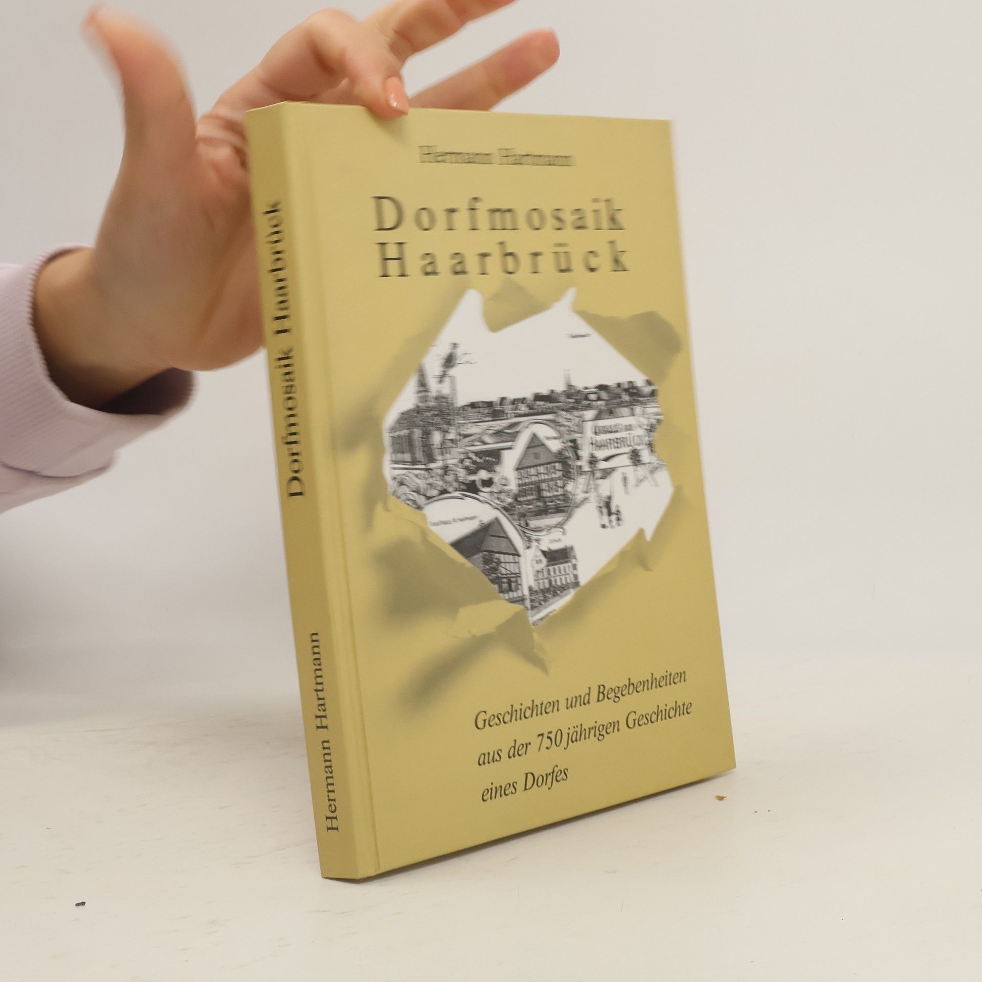 Dorfmosaik Haarbrück