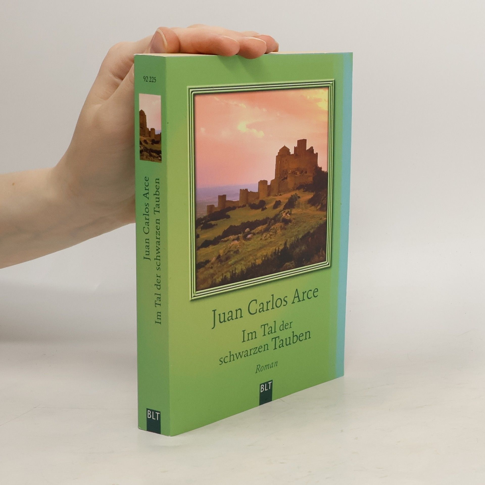 Juan Carlos Arce Im Tal der schwarzen Tauben