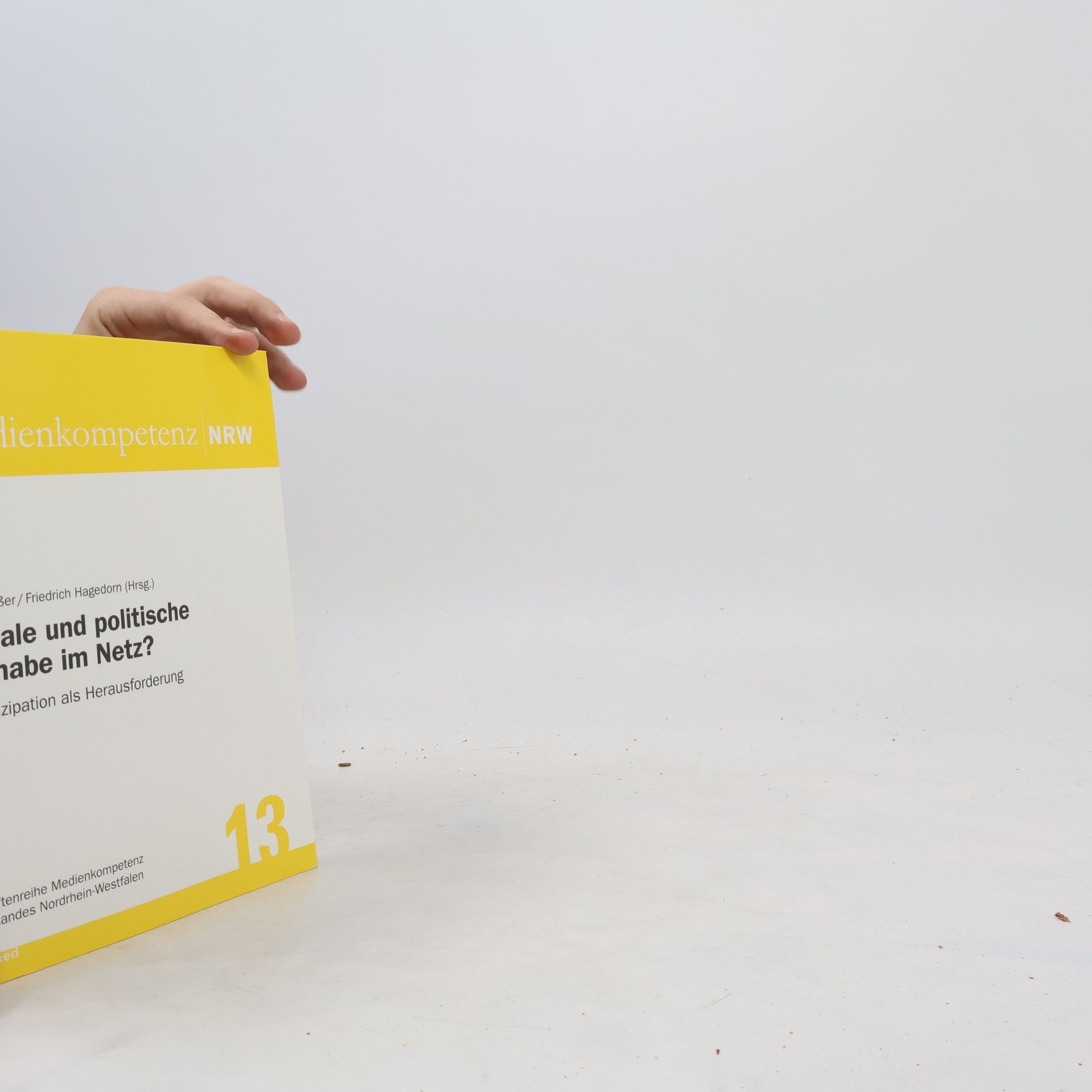 Soziale und politische Teilhabe im Netz?