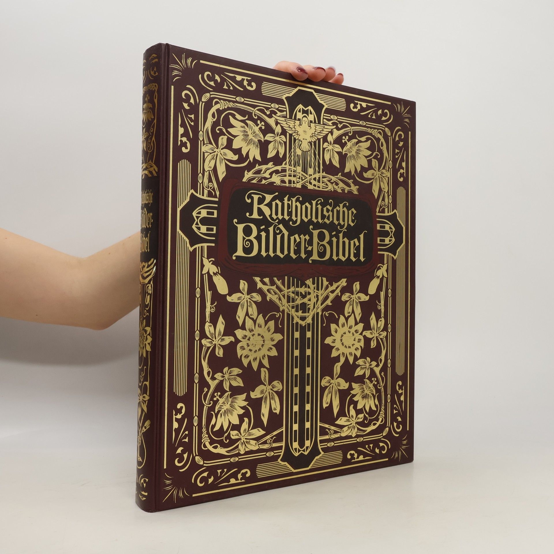 Autorenkollektiv Katholische Bilder-Bibel