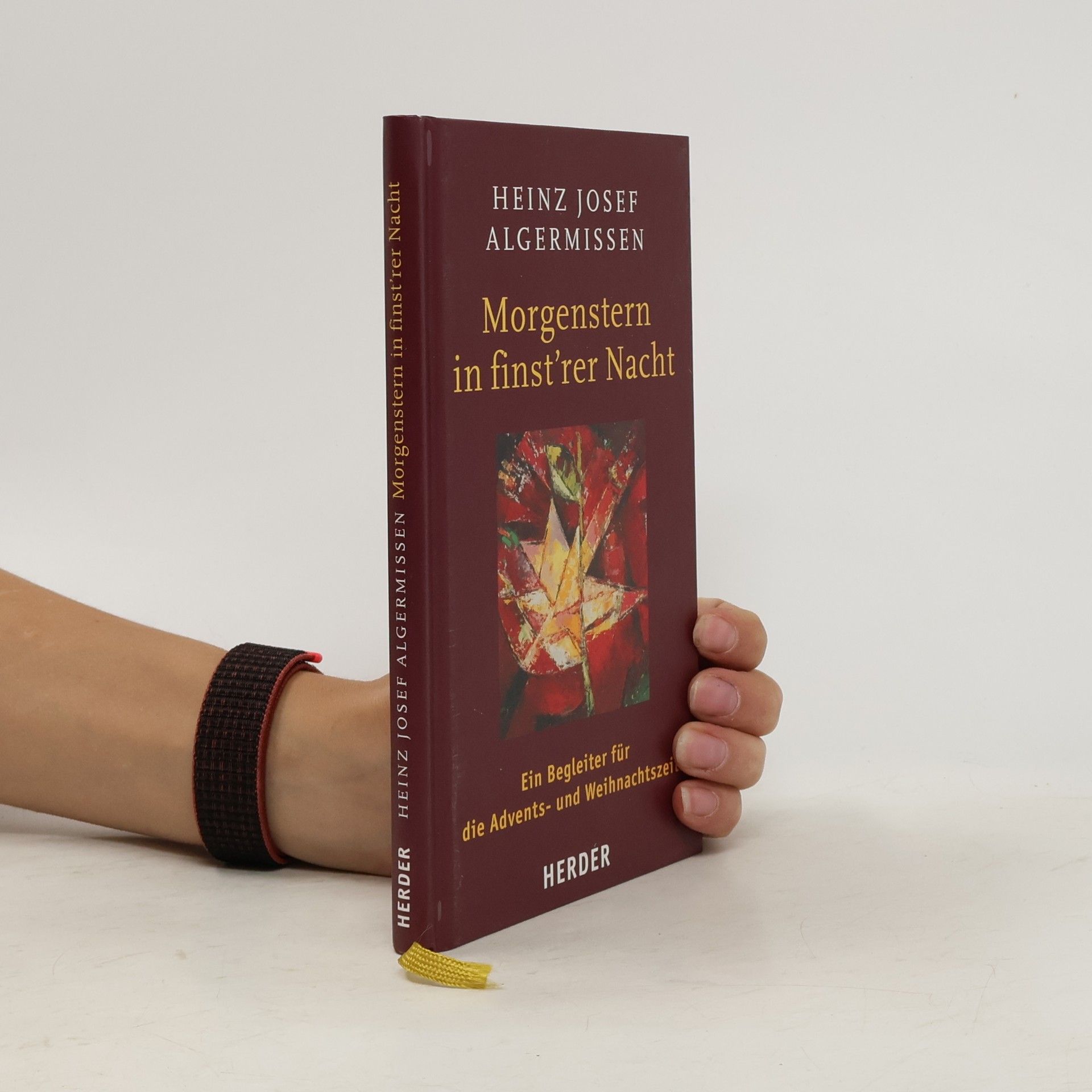 Heinz Josef Algermissen Morgenstern in finst'rer Nacht