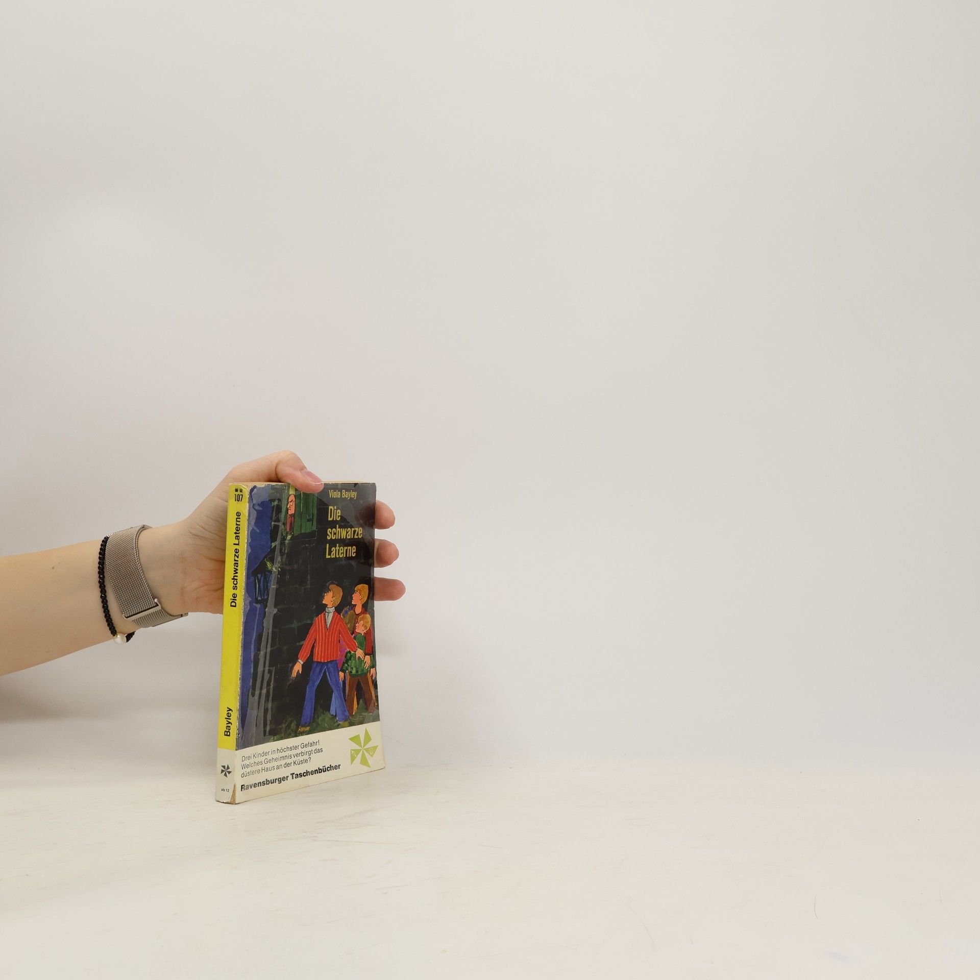 Viola Bayley Die schwarze Laterne