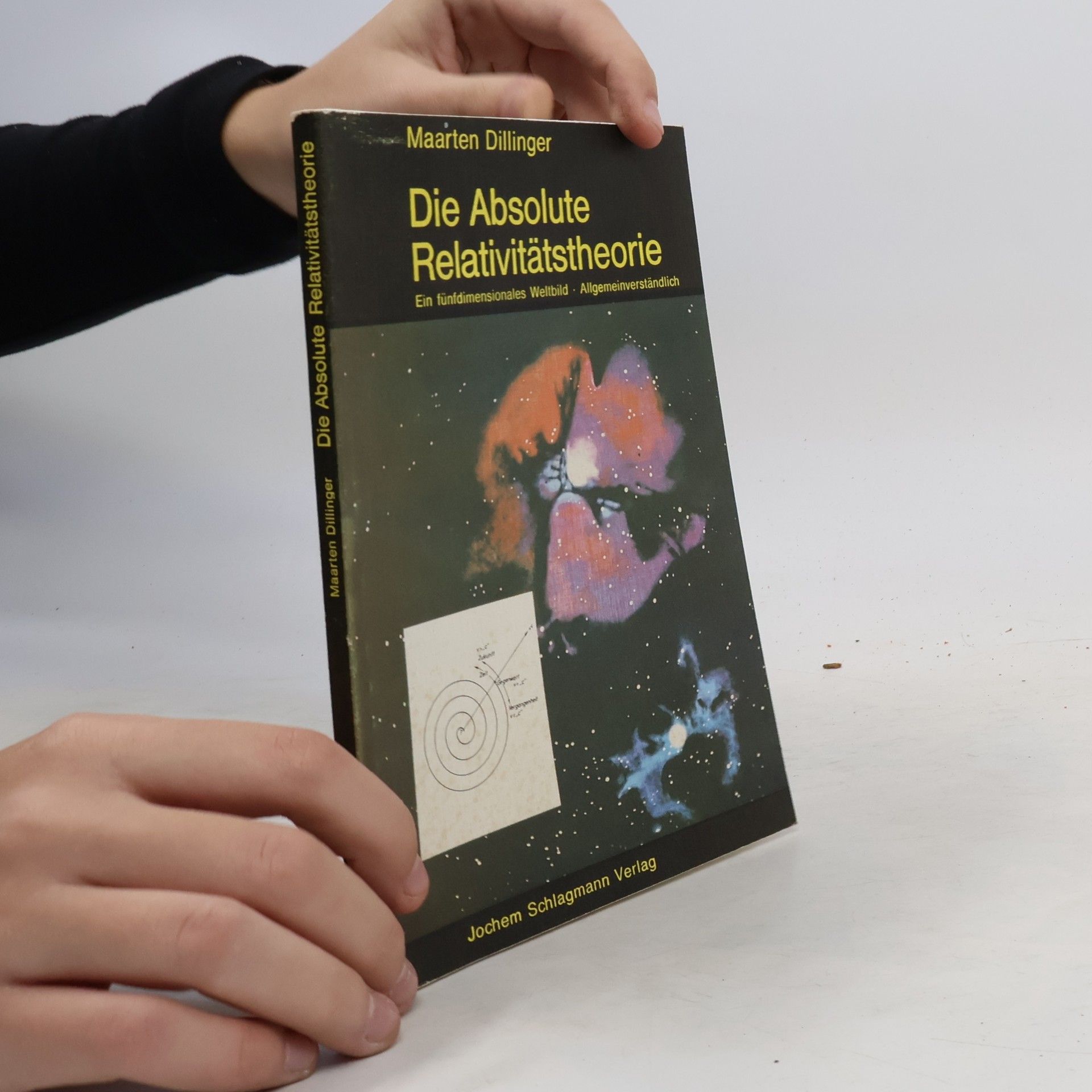 Maarten Dillinger Die absolute Relativitätstheorie