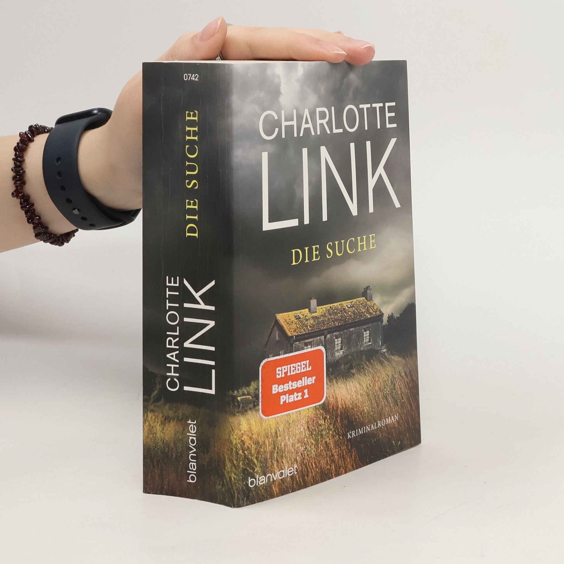 Charlotte Link Die Suche