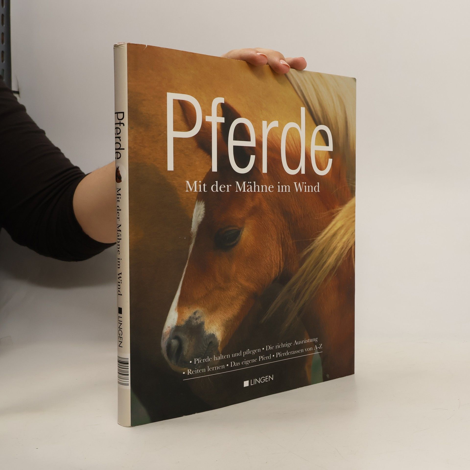 Kolektiv autorů Pferde. Mit der Mähne im Wind