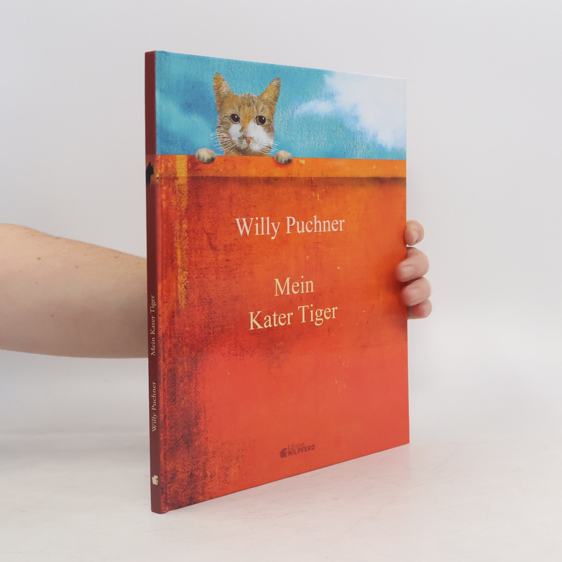 Mein Kater Tiger