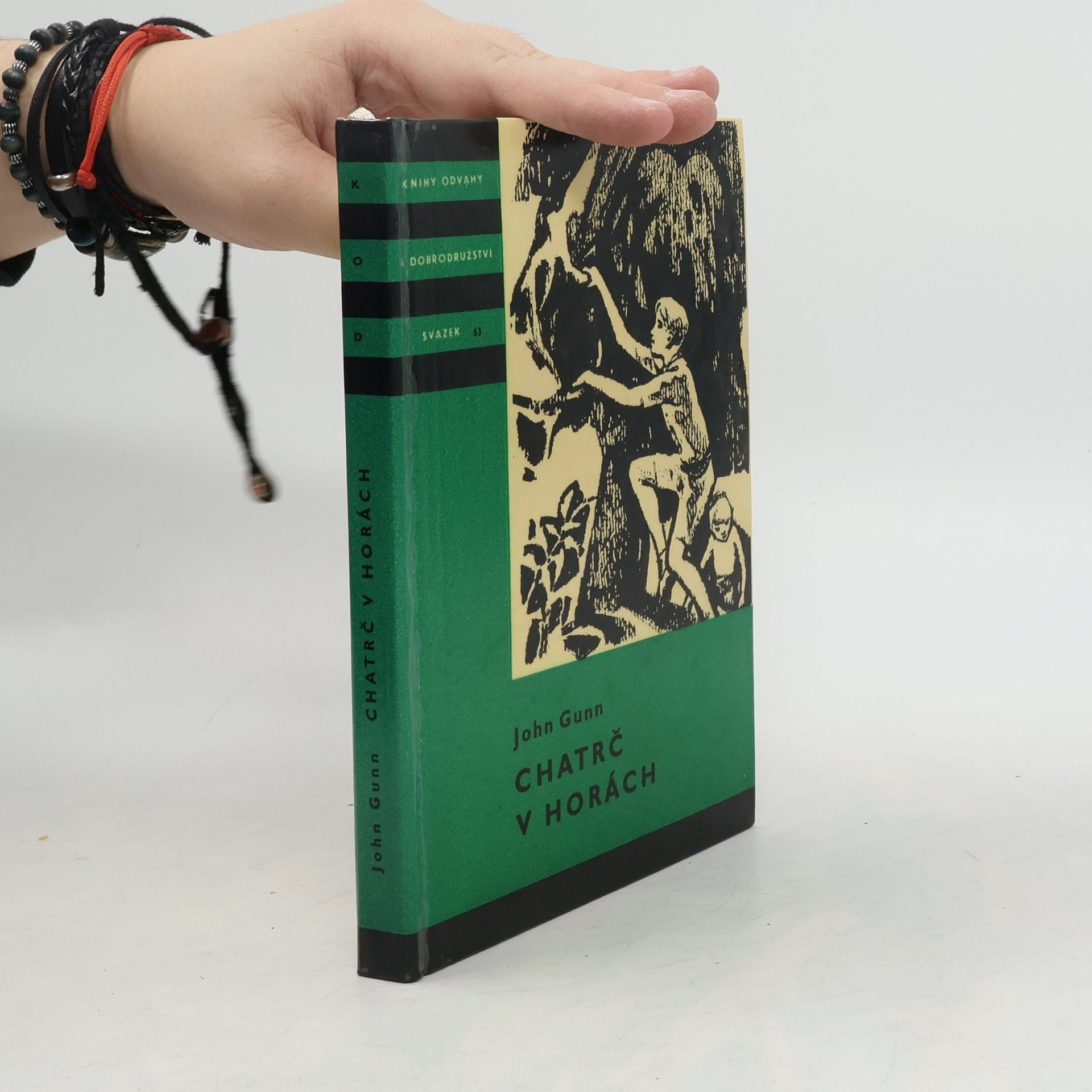 John Gunn Chatrč v horách