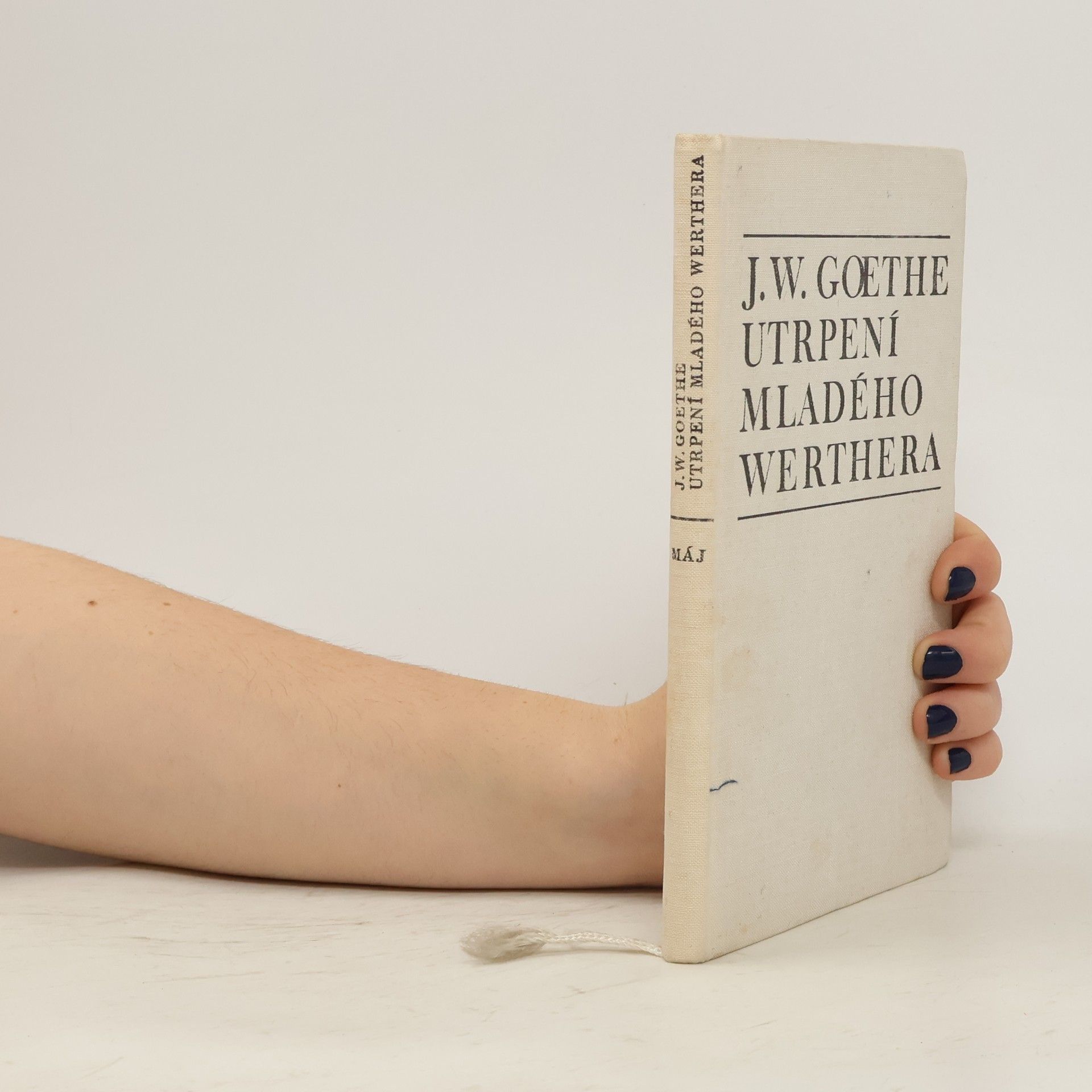 Johann Wolfgang von Goethe Utrpení mladého Werthera