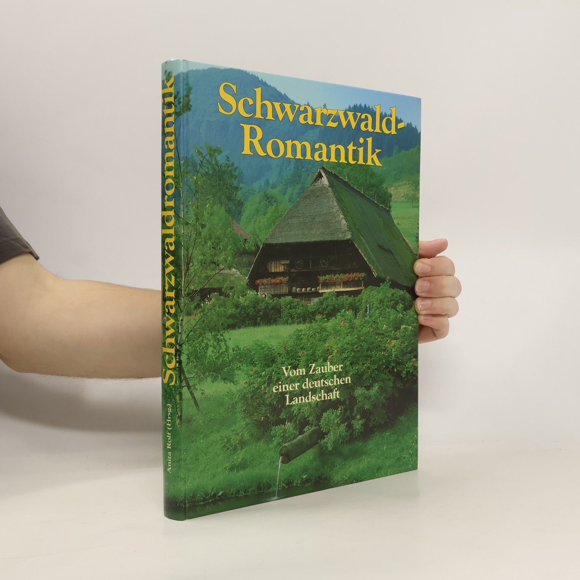 Collectif d'auteurs Schwarzwald-Romantik. Vom Zauber einer deutschen Landschaft