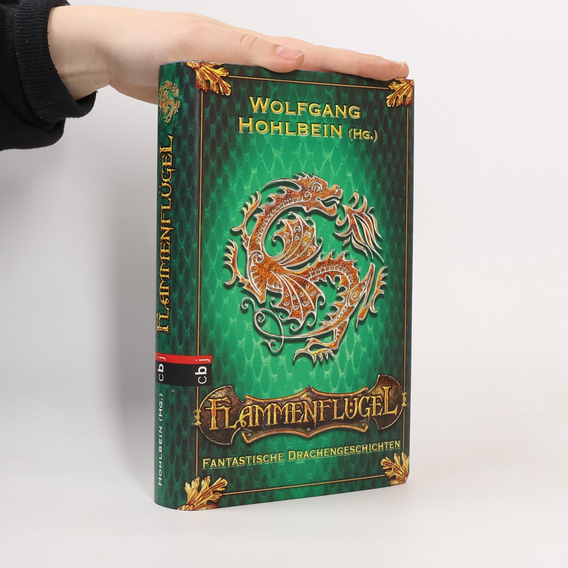 Wolfgang Hohlbein Flammenflügel