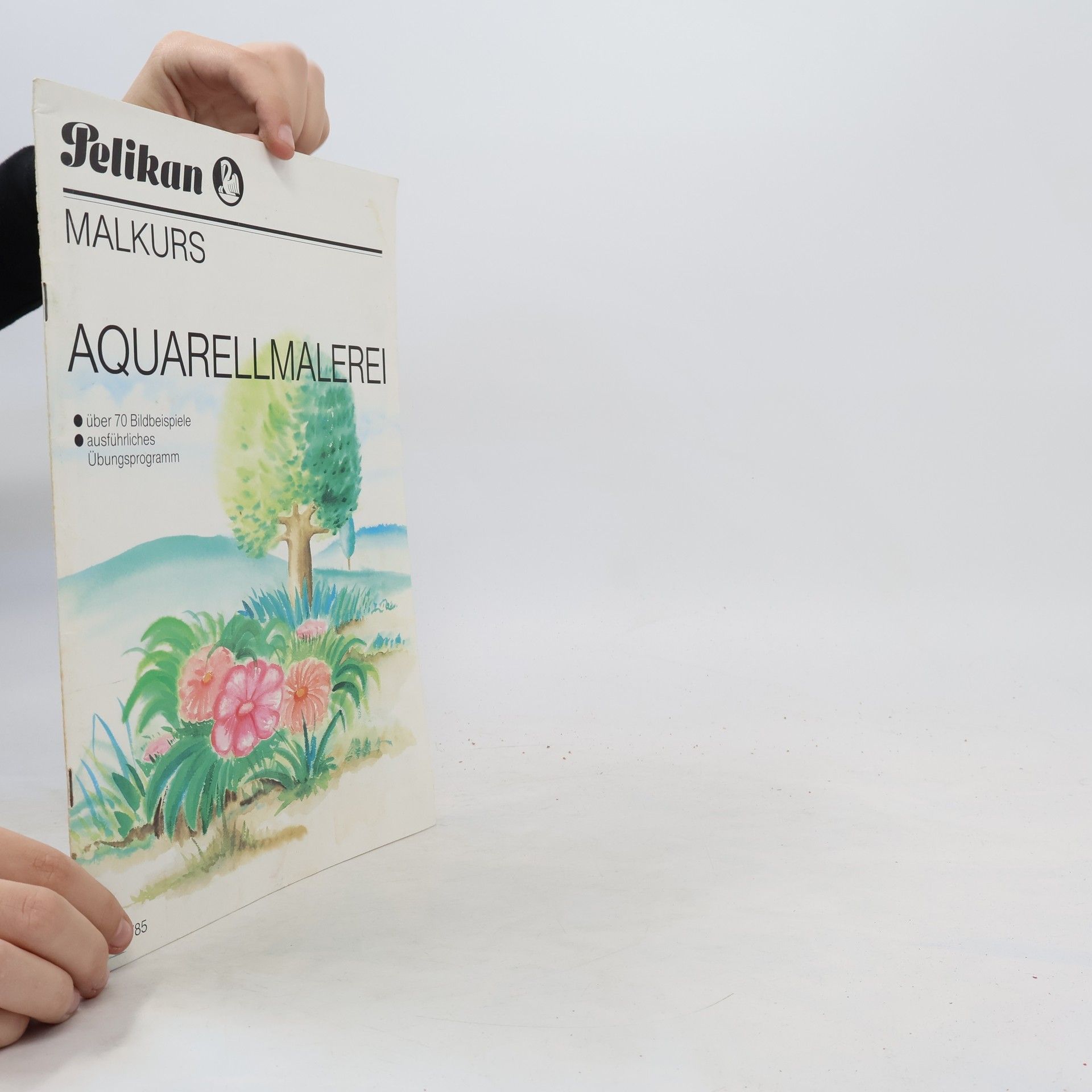 Autorenkollektiv Aquarellmalerei