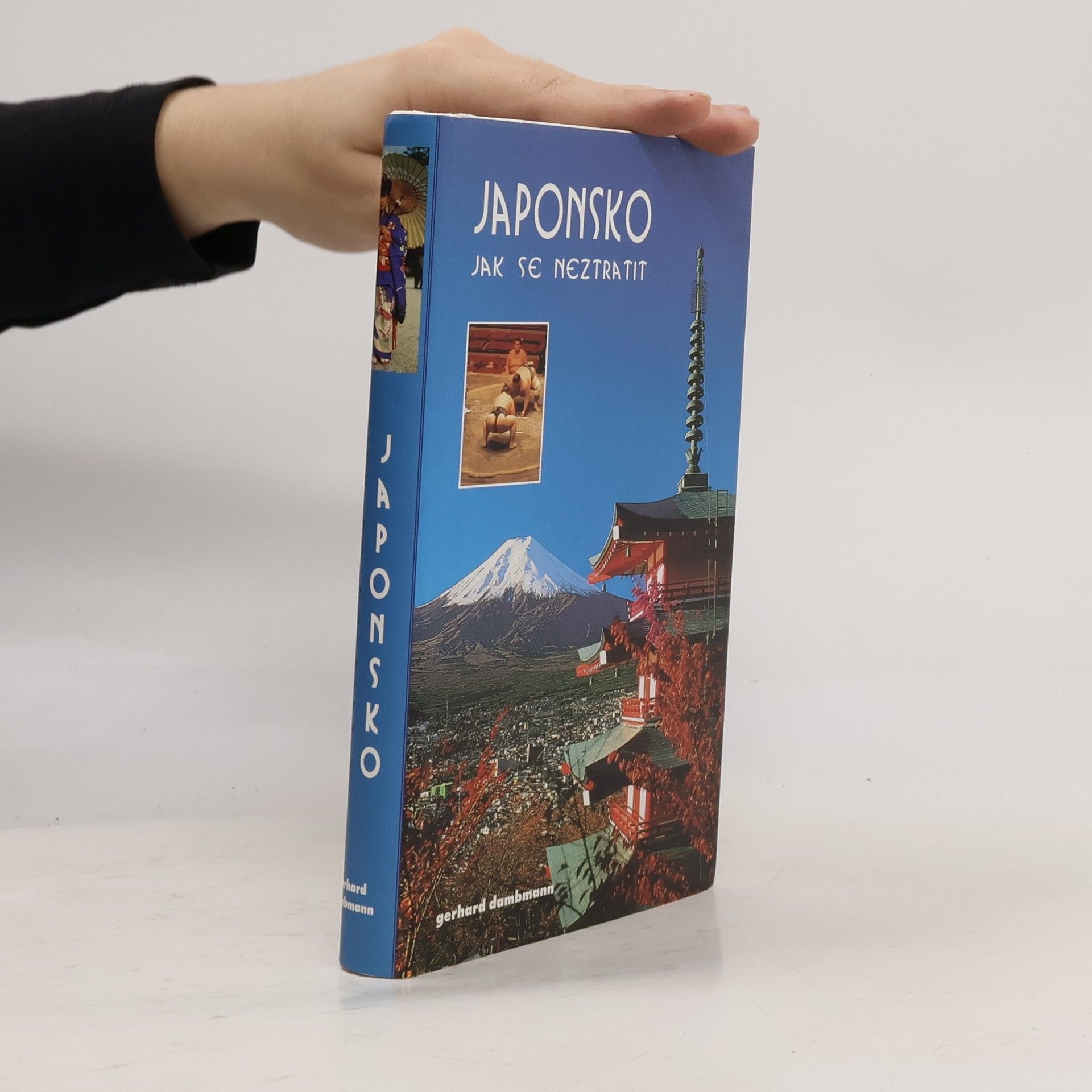 Gerhard Dambmann Japonsko. Jak se neztratit?