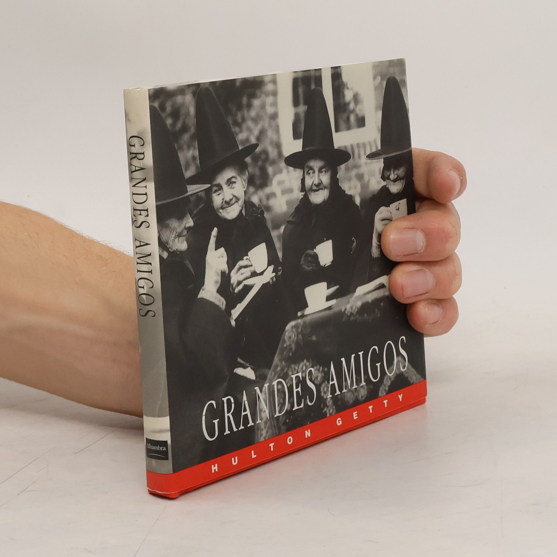 Autores varios Grandes Amigos