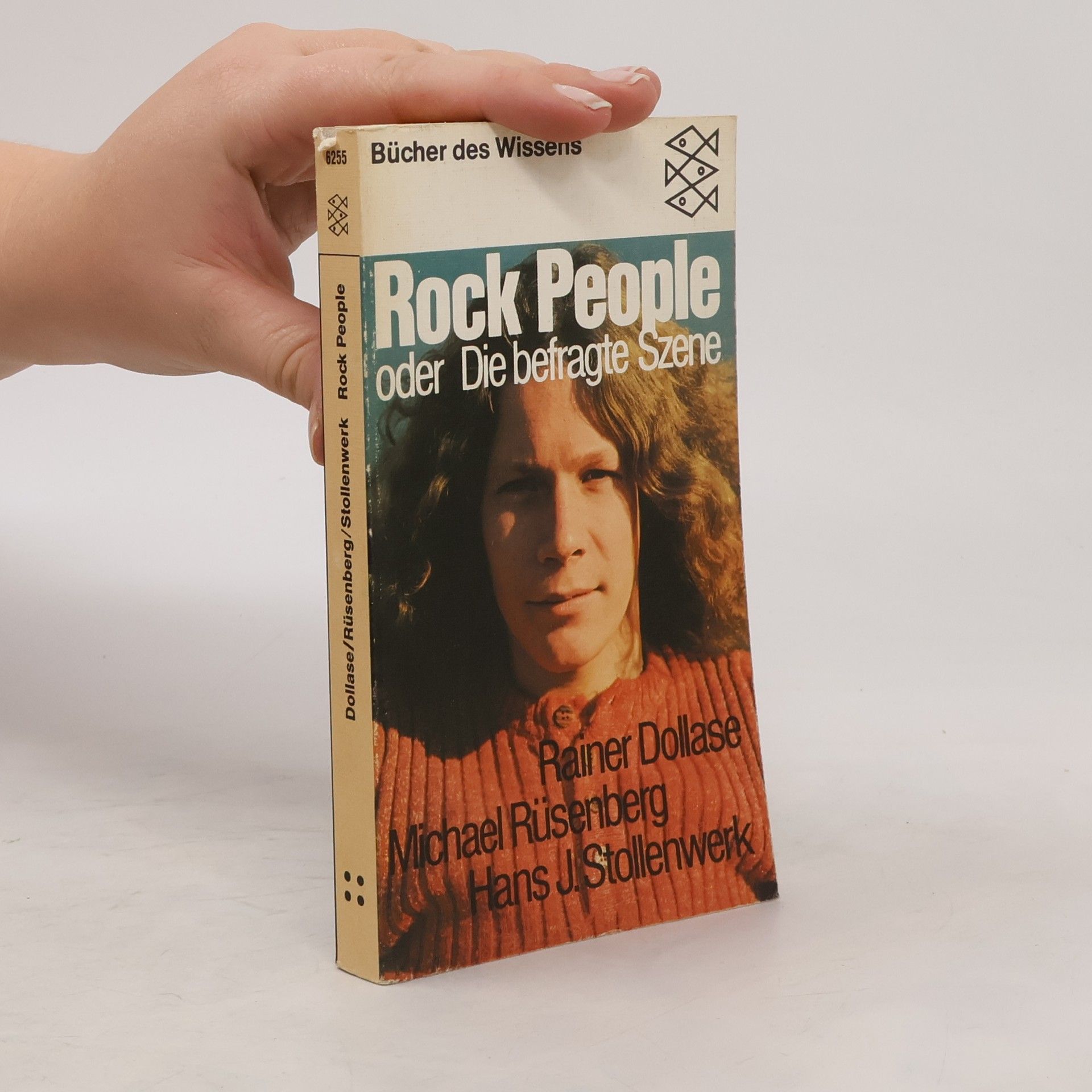 Rainer Dollase Rock People oder Die befragte Szene