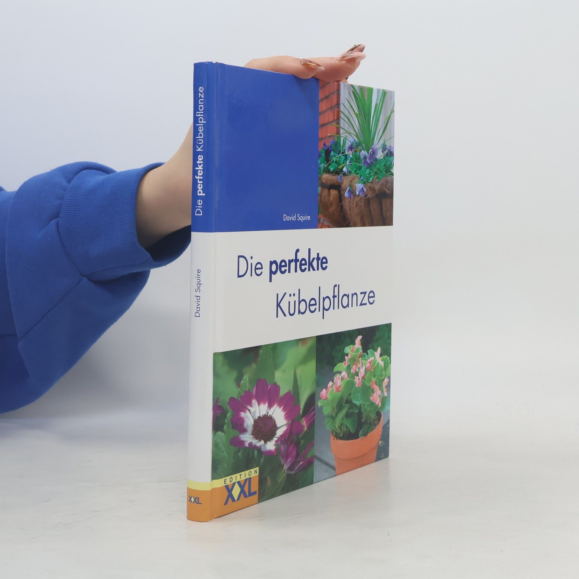 David Squire Die perfekte Kübelpflanze
