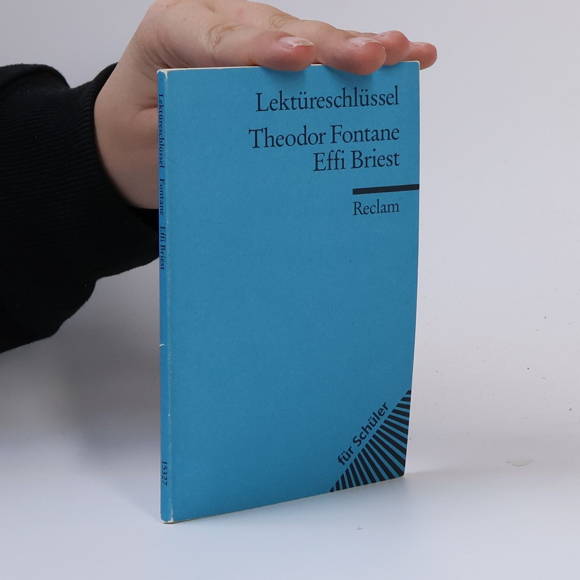 Theodor Pelster Theodor Fontane, Effi Briest
