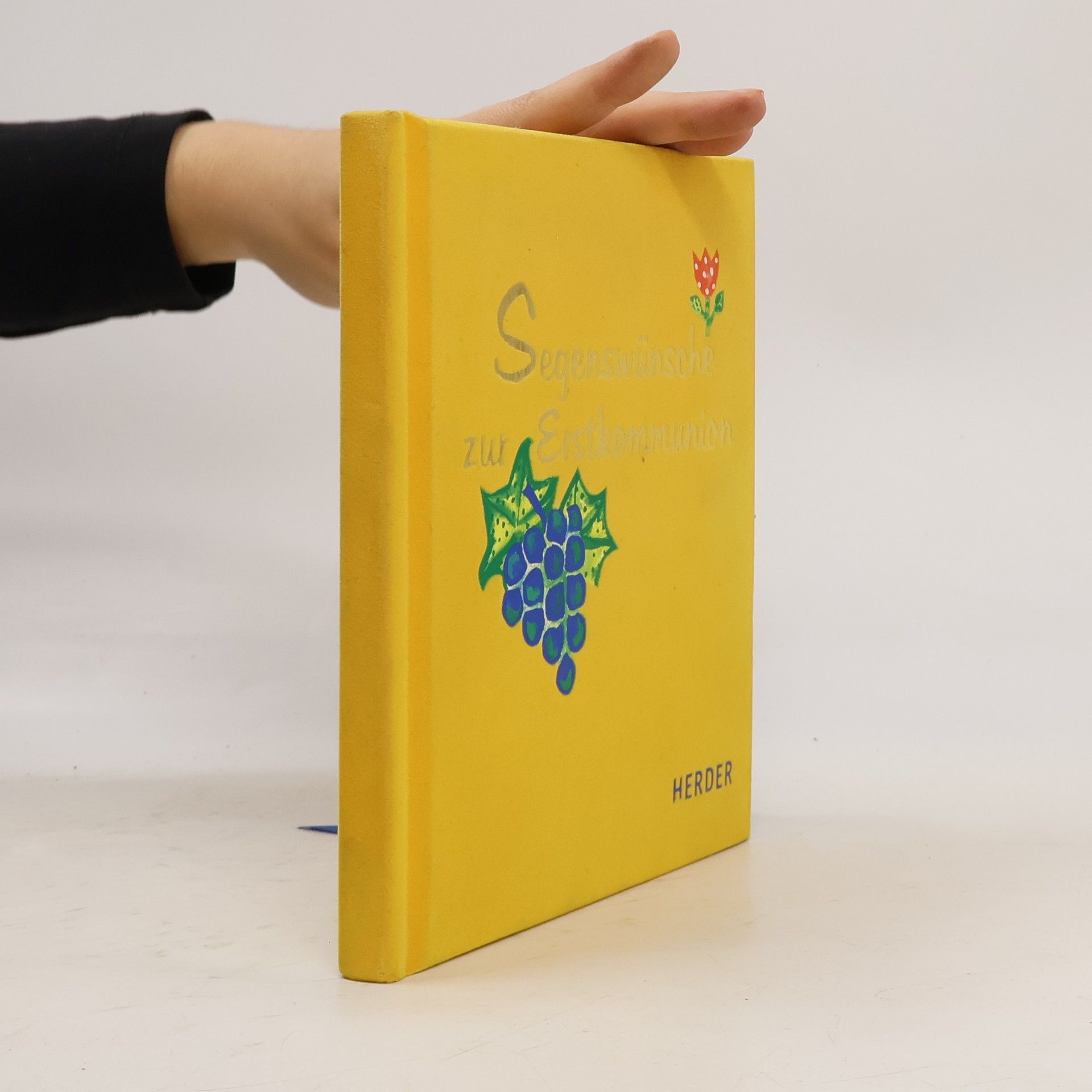 Auteurscollectief Segenswünsche zur Erstkommunion