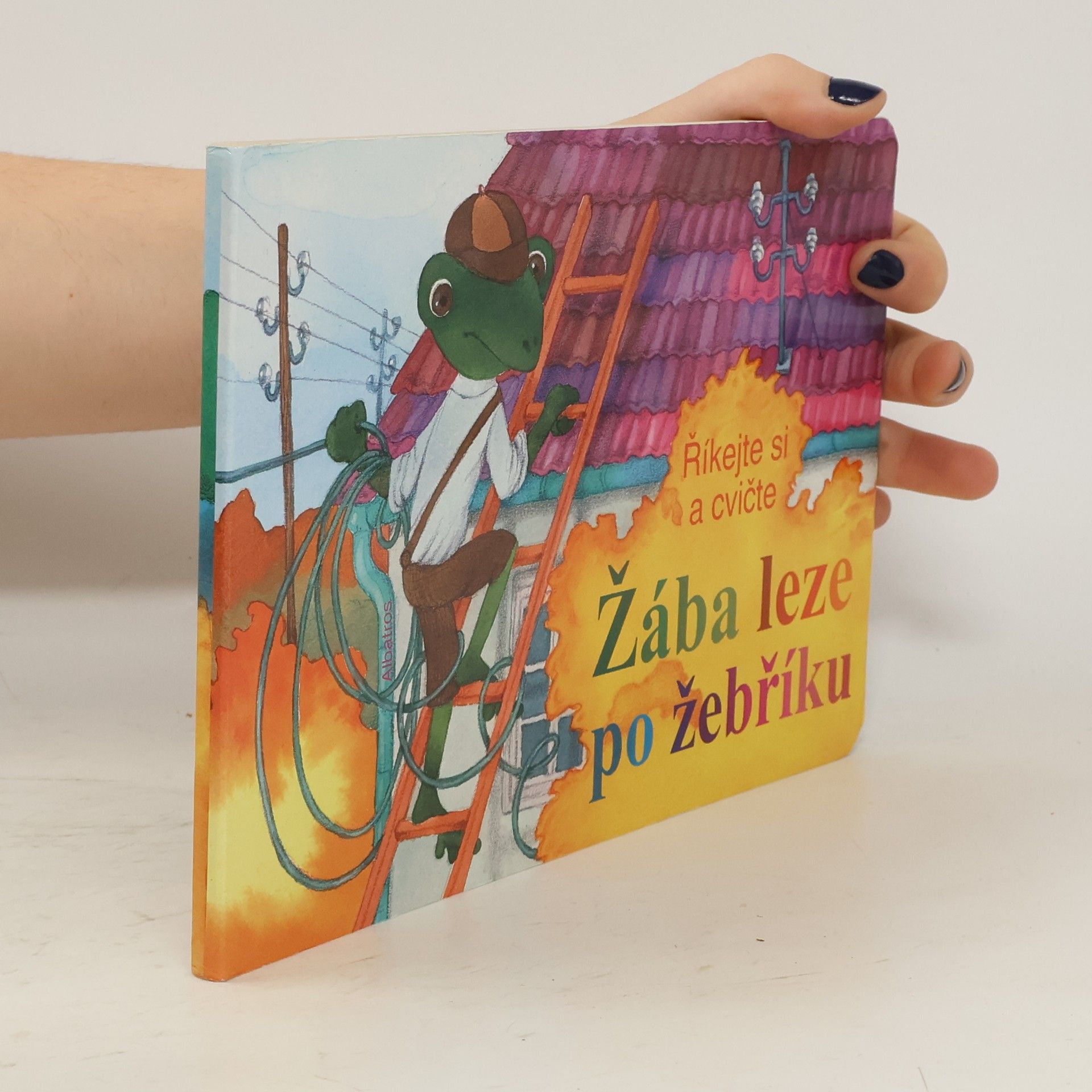 Autorenkollektiv Žába leze po žebříku